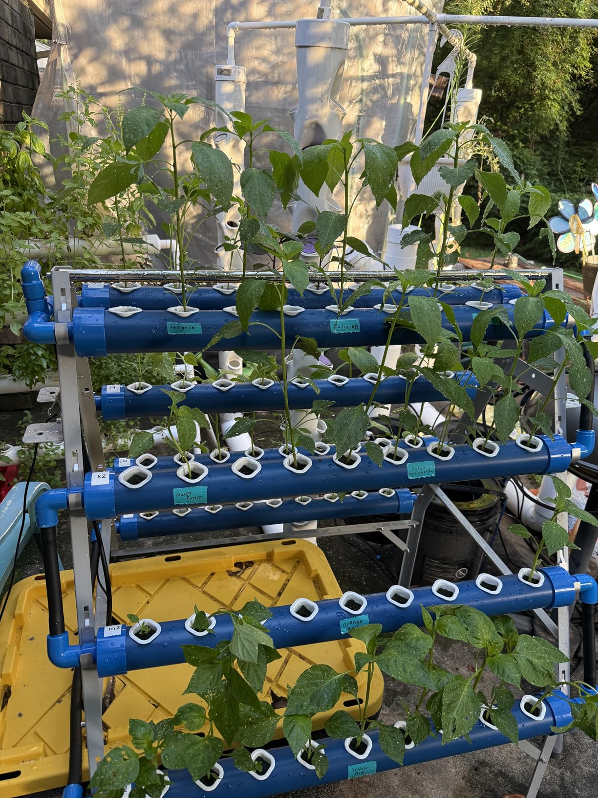 LAPOND A-Type Hydroponics Growing System Kit for Vegetables, Fruits and Herbs, with 72 Plant Sites and Food-Grade PVC-U Pipes, Suitable for Indoor and Outdoor customer photo 2