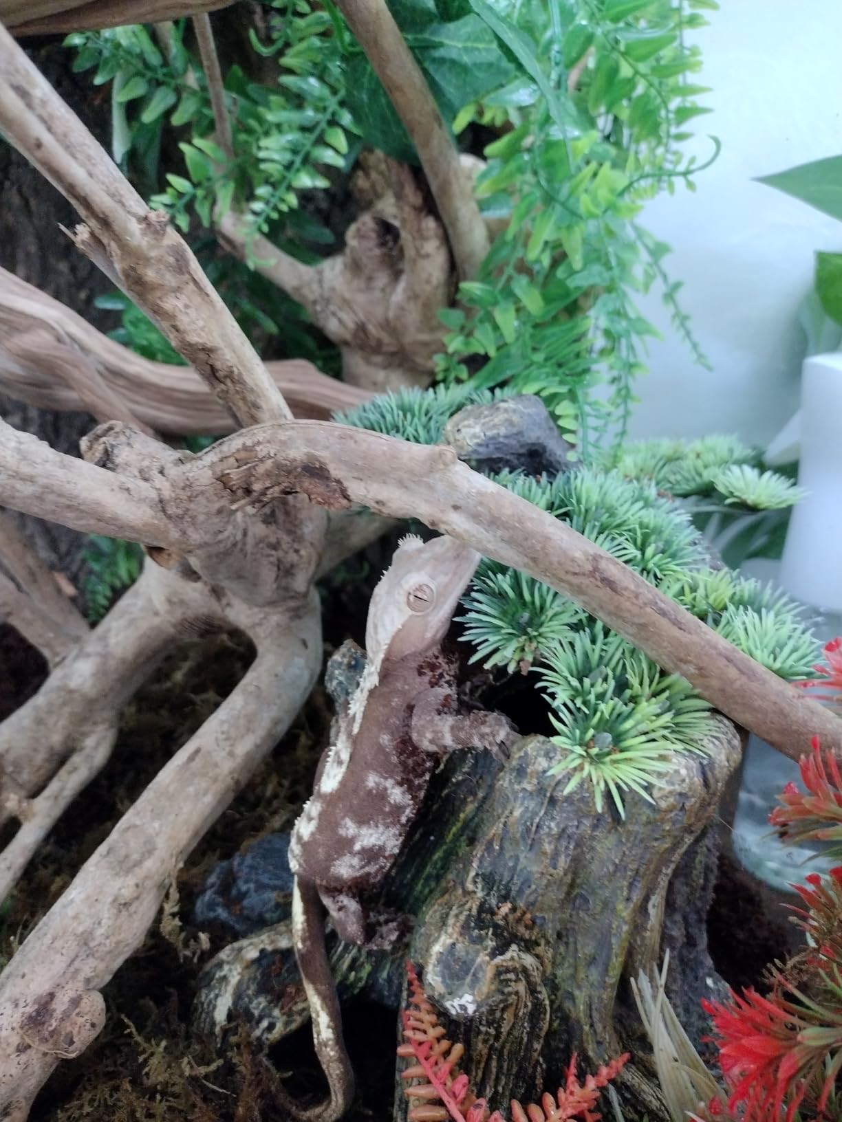 Reinforced 40-50 Gallon Aquarium Stand with Power Outlet, Ultra-Stable 720LBS Capacity Metal Fish, Tank Stand for Reptile/Aquatic Setups, 5-Tier Adjustable 37