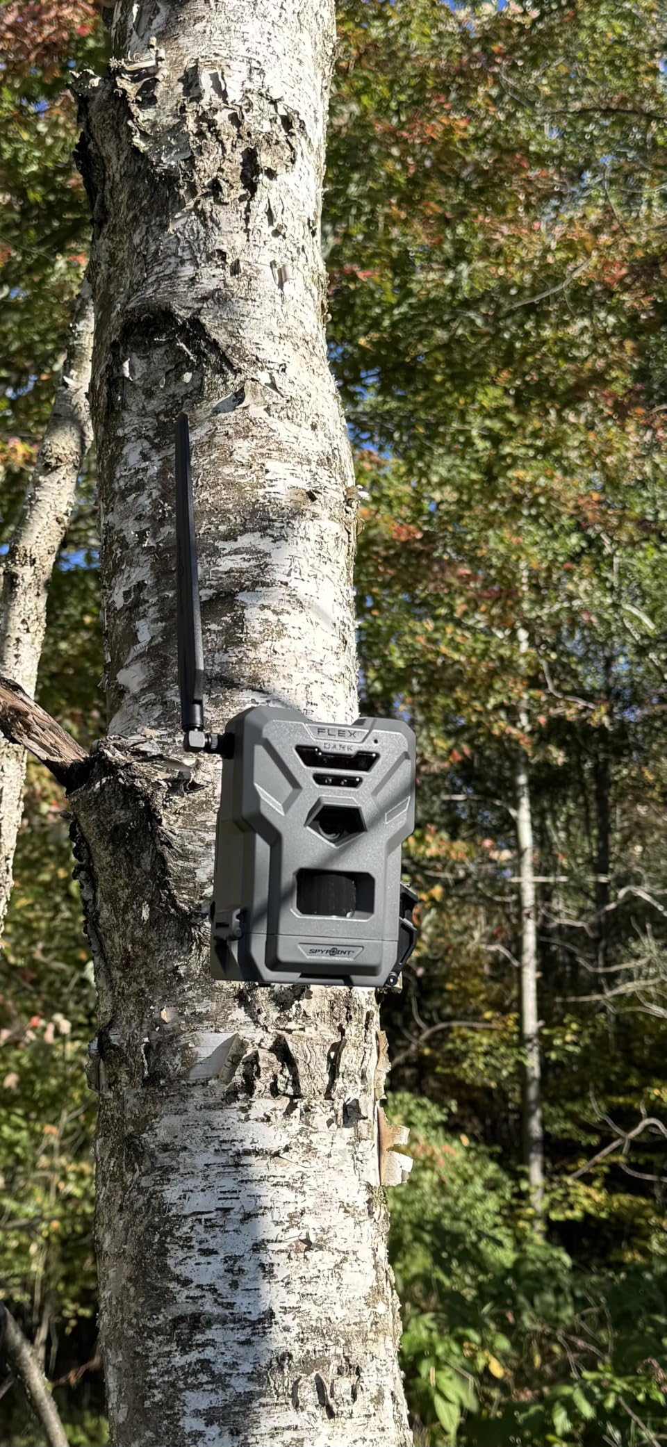 SPYPOINT Flex-Dark Twin Pack Cellular Trail Camera, 40MP Photos, 1080p Video + Sound, No-Glow Game Camera, Hunting Night Vision, Motion Activated, 100ft Detection, No WiFi Needed Trail Cam customer photo 1
