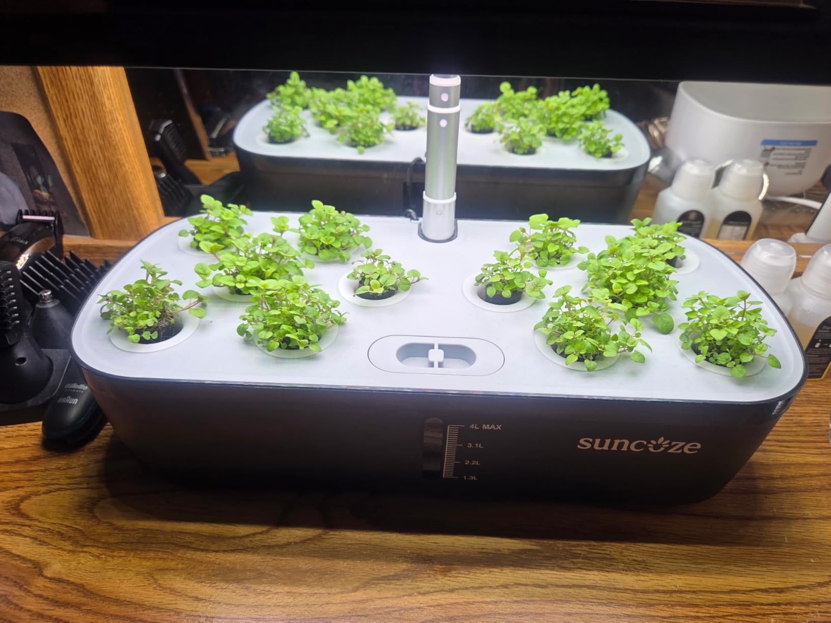 SUNCOZE Hydroponics Growing System Kit 12 Pods, Indoor herb Garden with 20W LED Grow Light, Visible Water Tank with Pump, 2.2