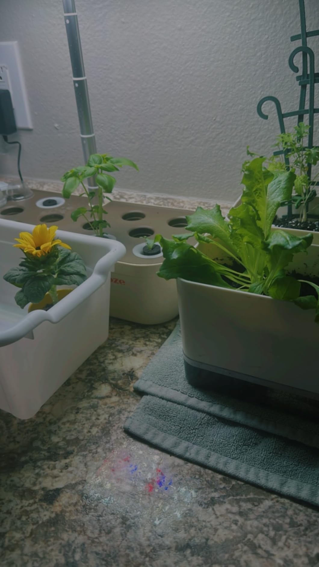 SUNCOZE Hydroponics Growing System Kit 12 Pods, Indoor herb Garden with 20W LED Grow Light, Visible Water Tank with Pump, 2.2