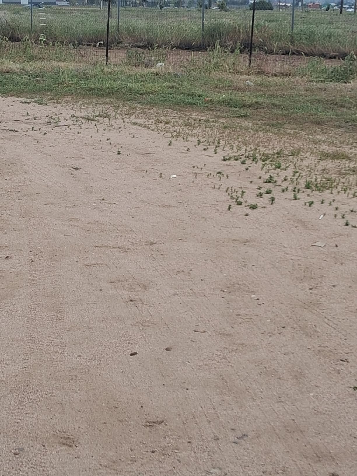 Electric String Trimmer Cordless with 2x2.0Ah Battery, 20V Battery Powered 12-inch Lawn Mover & Edger Lawn Tool with Charger, Powered Grass Trimmer with 8pcs Spool Line for Yard, Garden, Green customer photo 1