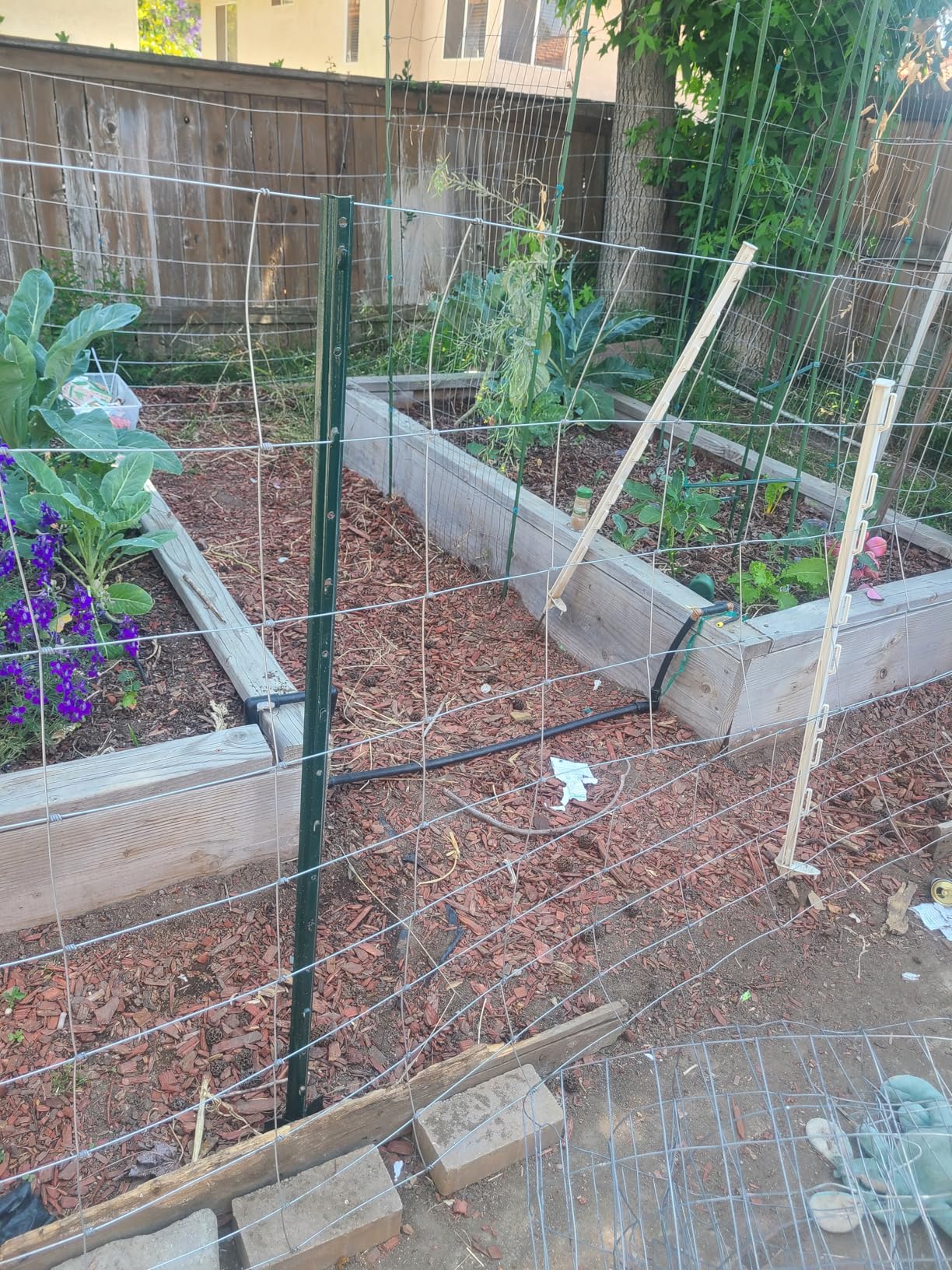 Farm Fence 6ft x 100ft Heavy Zinc Coating Field Wire Fencing, Galvanized Livestock Deer,Goat Fence,Hog Wire Fencing Used to Yard and Garden customer photo 2