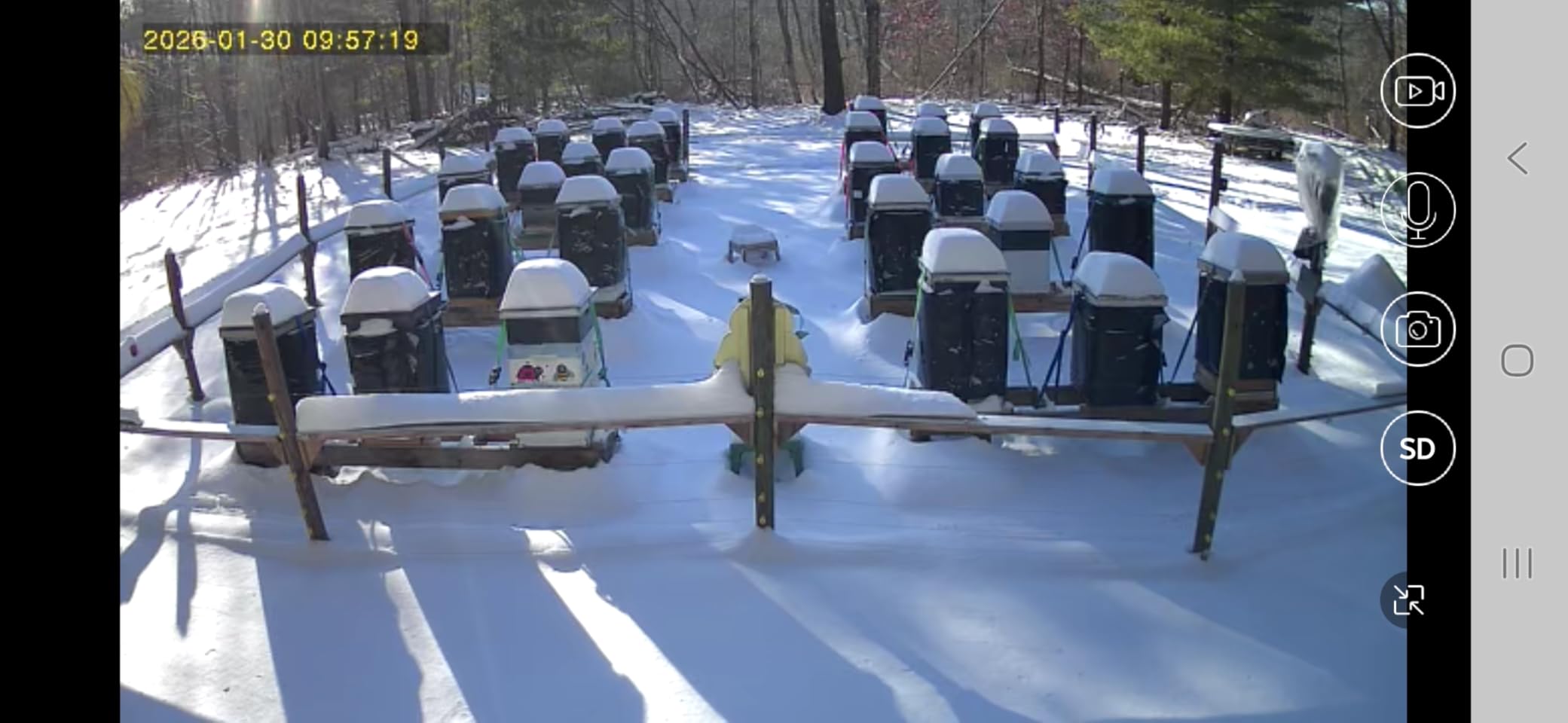 4G LTE Cellular Trail Cameras 2K 360° View Live Streaming Game Camera Built-in SIM Card with Motion Activated Color Night Vision Remote Phone Access Solar Powered Trail Camera IP65 Waterproof customer photo 1