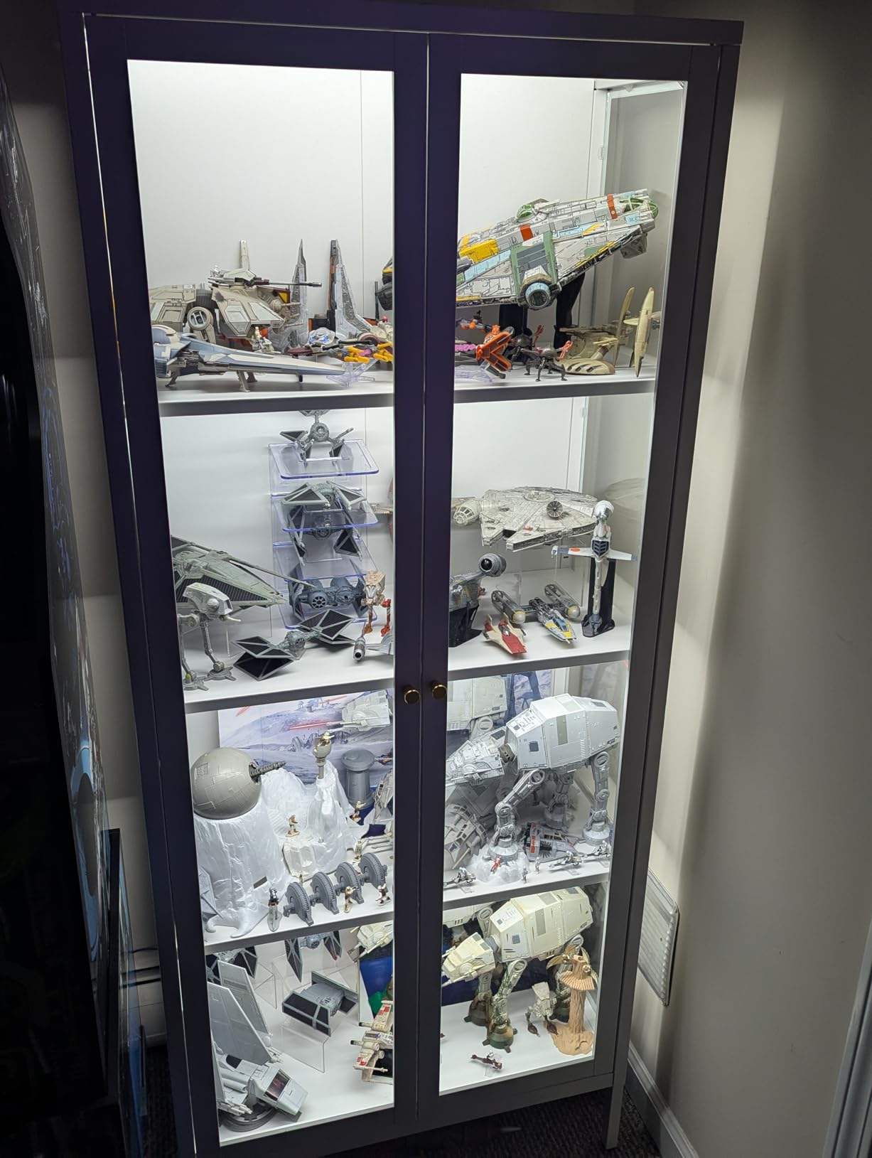 Glass Display Cabinet 4-Tier, Display Cabinet with Glass Doors, Curio Cabinet with Tempered Glasses Doors,Metal Storage Cabinets for Living Room, Plant, Assembly Required, Black customer photo 2