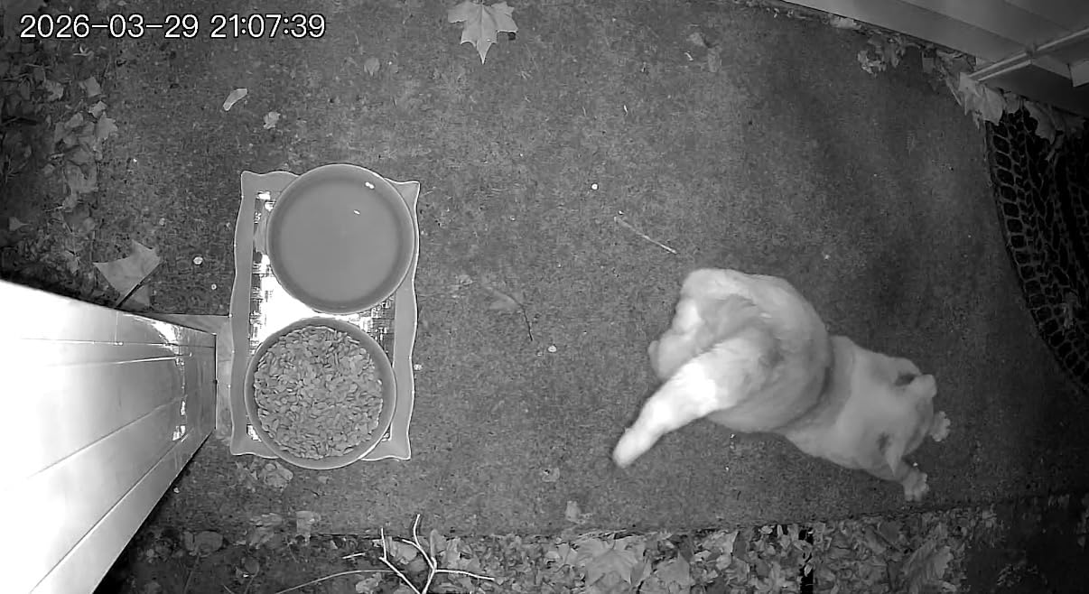 2026 Upgraded 2K Security Cameras Wireless Outdoor, Free Cloud Storage, 1-6 Months Battery Life, Waterproof, 2-Way Talk, AI Motion Detection Spotlight Siren Alarm Cameras for Home Security customer photo 2