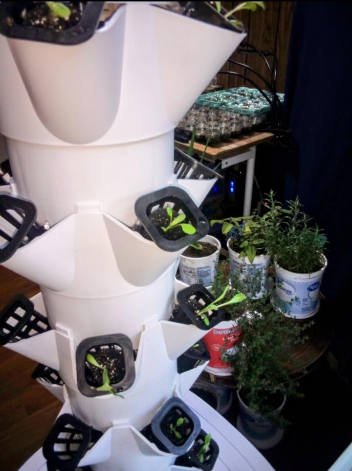 VEVOR Hydroponic Growing System, 30 Pods Vertical 6 Tiers Hydroponic Tower, Home Hydronic Garden with Water Pump & Timer, Water Circulation Plants Germination Kit for Indoor Herbs Fruits & Vegetables customer photo 1