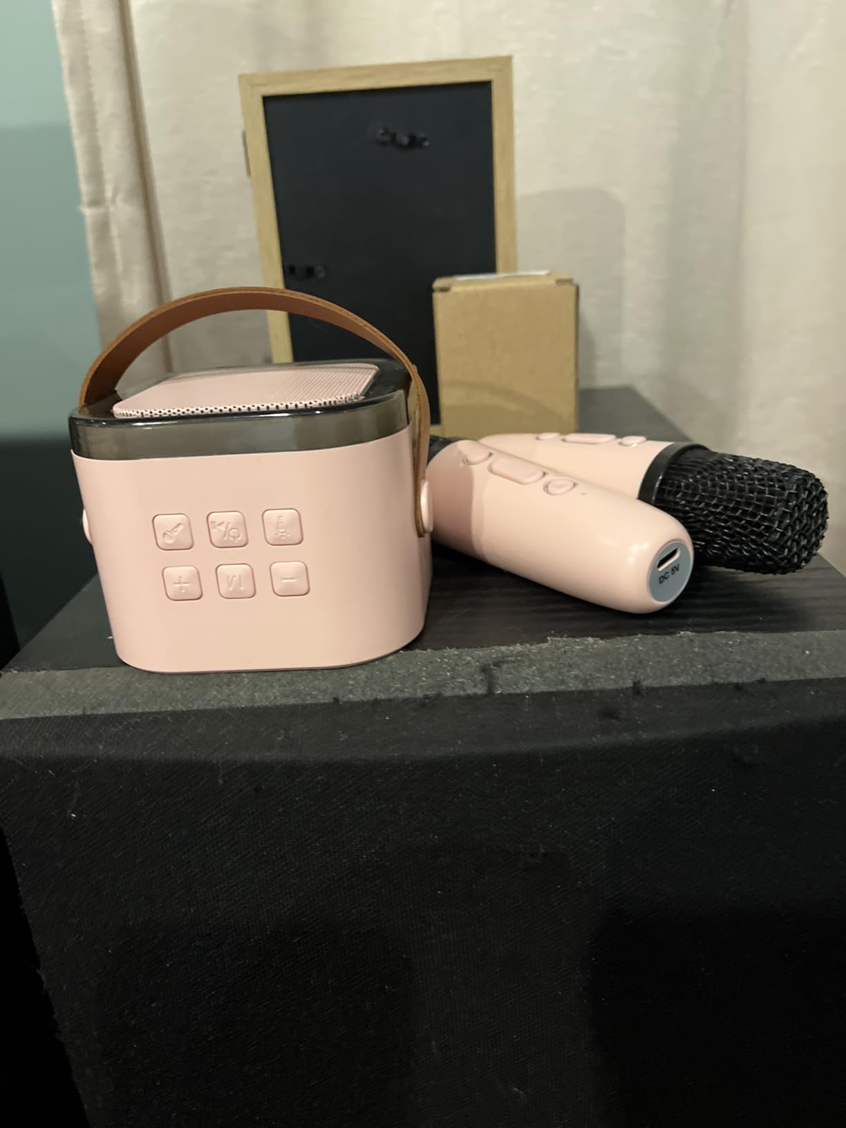 Mini Karaoke Machine for Kids,Portable Bluetooth Speaker with 2 Wireless Microphones,Toddler Music Player Toys,Easter Birthday Gifts for 3,4,5,6,7,8,9,10,11,12+Years Old Girls Boys (Pink) customer photo 1