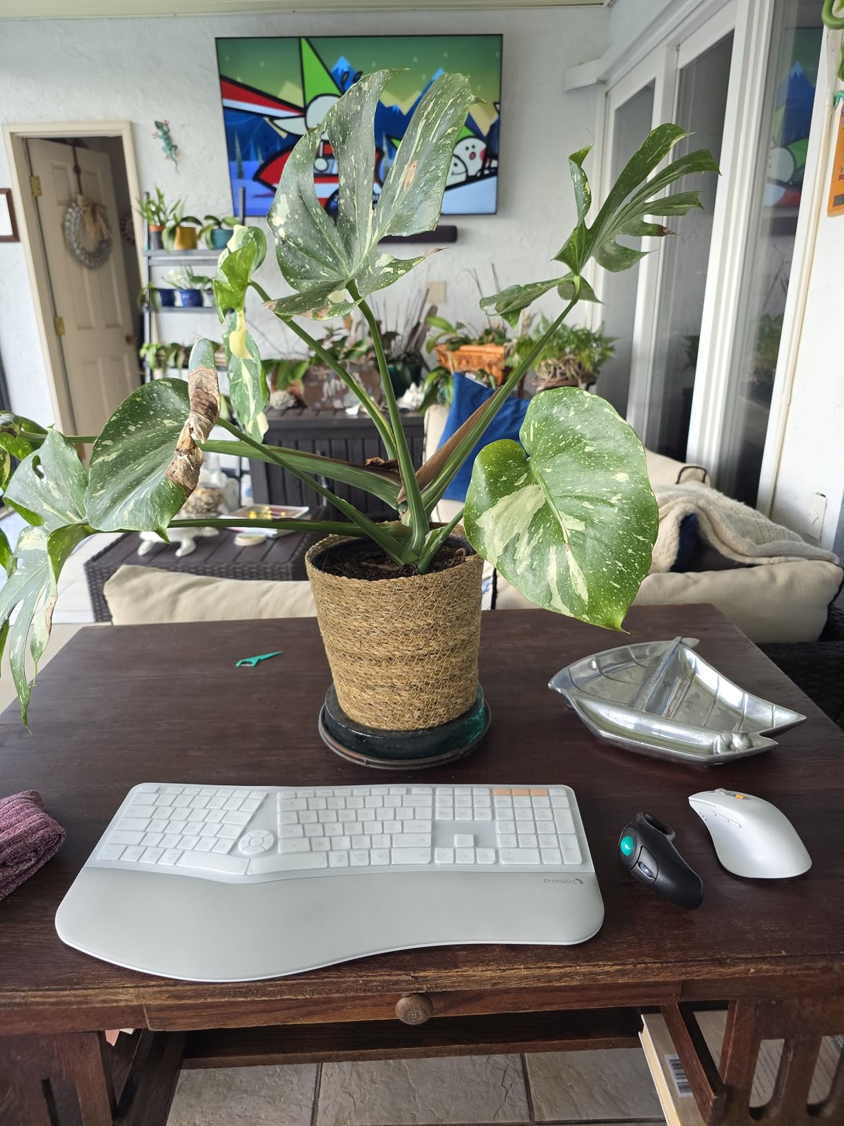 ProtoArc Ergonomic Keyboard Mouse, EKM01 Plus Full Size Wireless Bluetooth Ergo Keyboard Mouse Combo, Cushioned Palm Rest, Split Design, Rechargeable, Compatible for Windows, Mac OS - Gray and Black customer photo 2