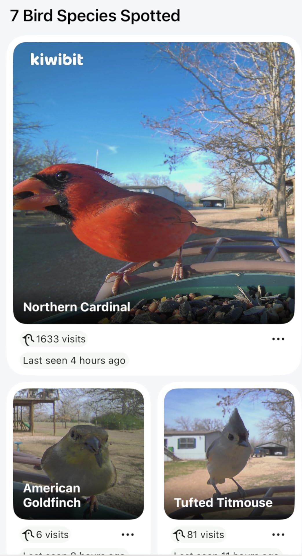 Smart Bird Feeder 4K AI Camera with Solar Panel, No Subscription, Lifetime AI Feature Included, 4K Video Live Stream, 8MP Photos Auto Capture, Bird Species Identification, Bird Notification customer photo 1