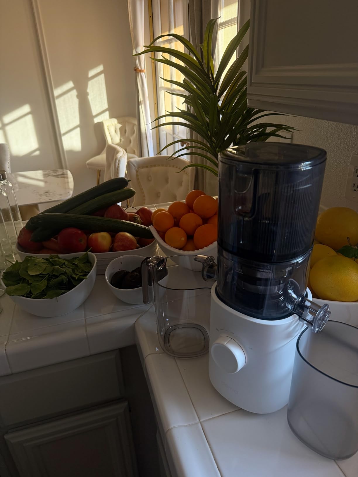 Nama J3 Compact Cold Press Juicer - Space Saving & Self Feeding for Hands-Free Operation - Lightweight, Portable Zero Waste Slow Masticating Juicer - Easy Cleanup & Assembly - Black customer photo 1