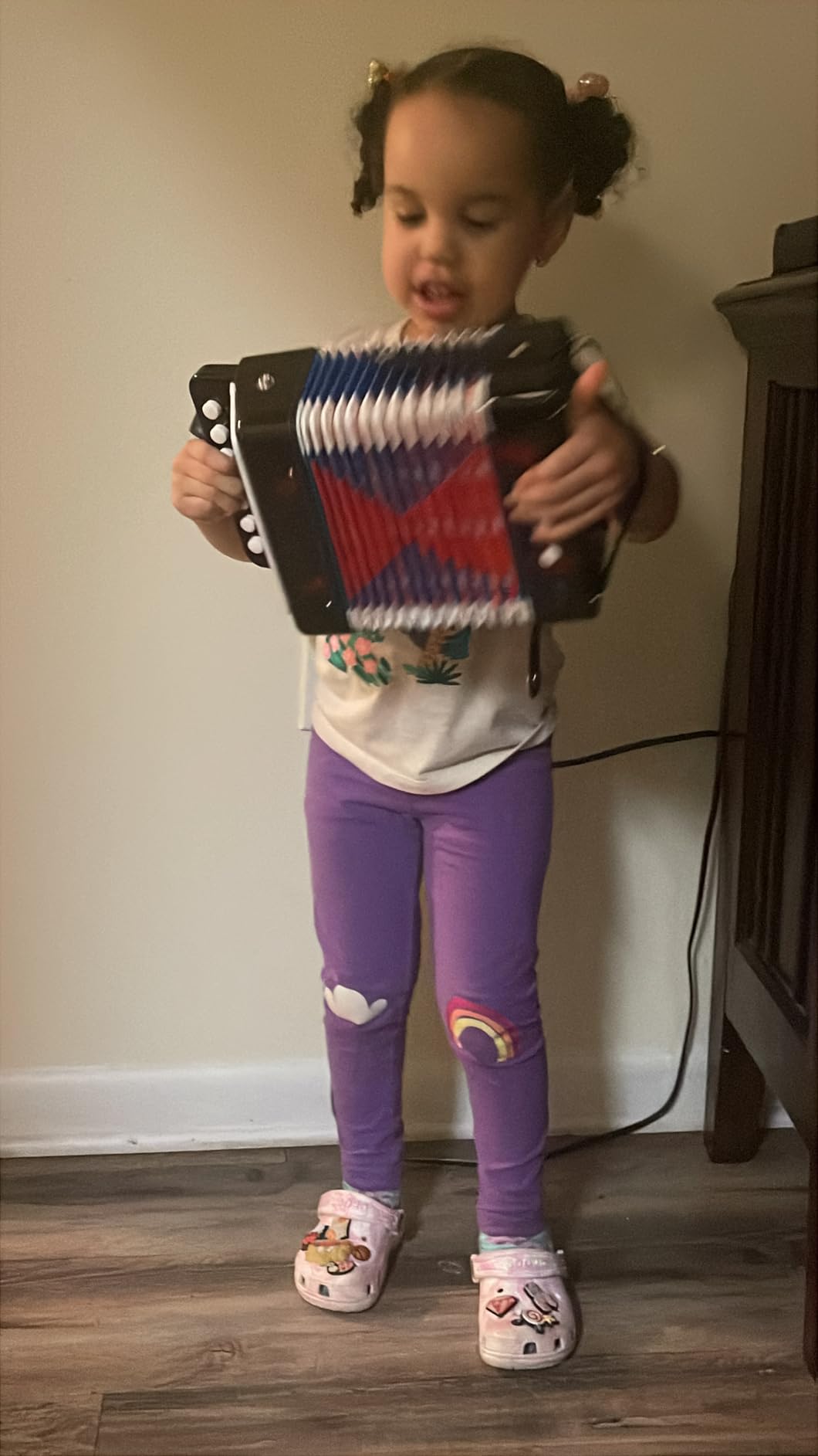 Lotkey 17 Key Piano Accordion, 8 Bass Kids Accordion, Celluloid Body, Metal Cover customer photo 1