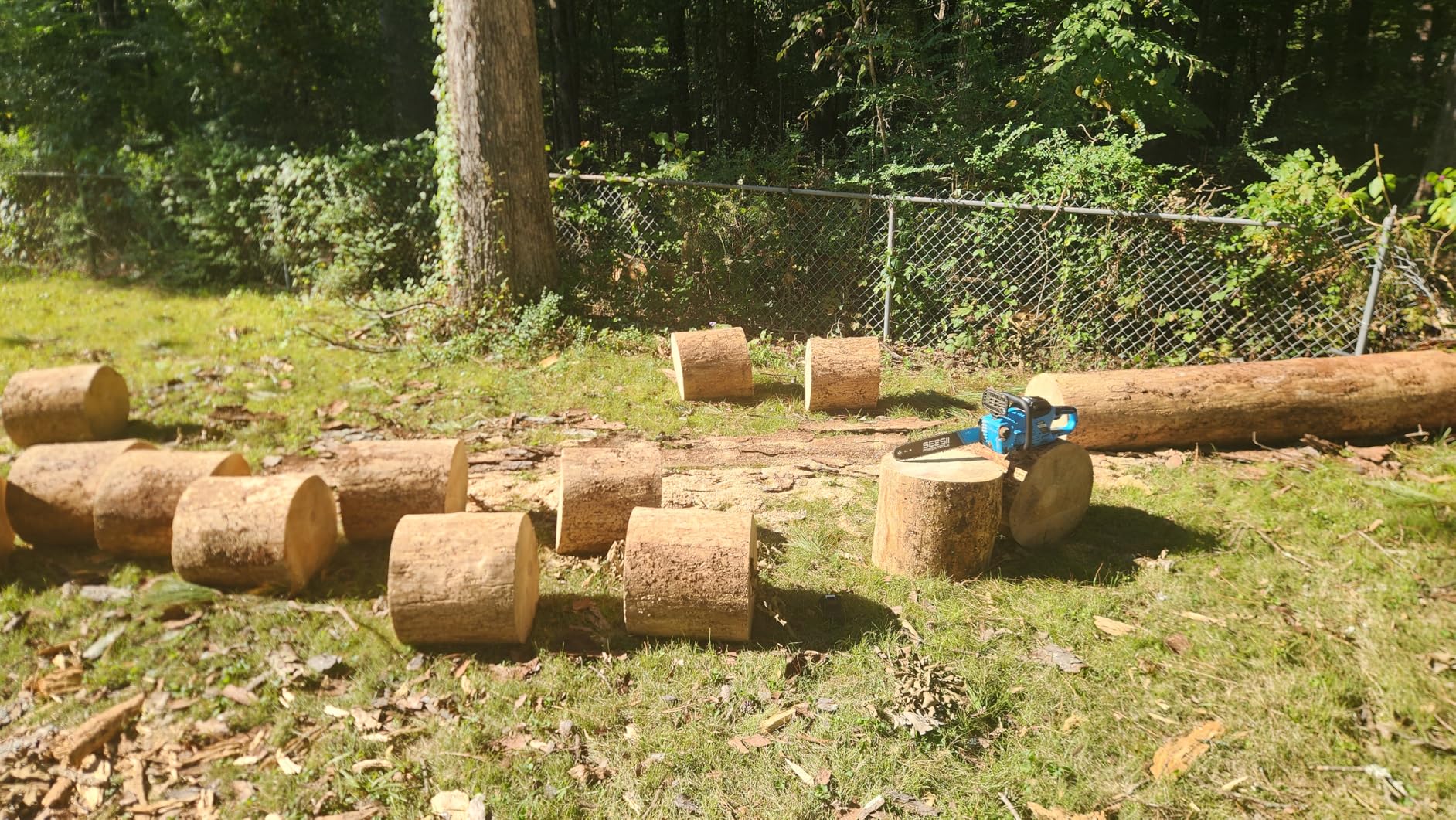 SEESII 40V 16-Inch Cordless Chainsaw: Brushless Electric Chain Saws with 2×4.0Ah Batteries & Charger, Tool-Free Chain Tension, Auto Oiling customer photo 2