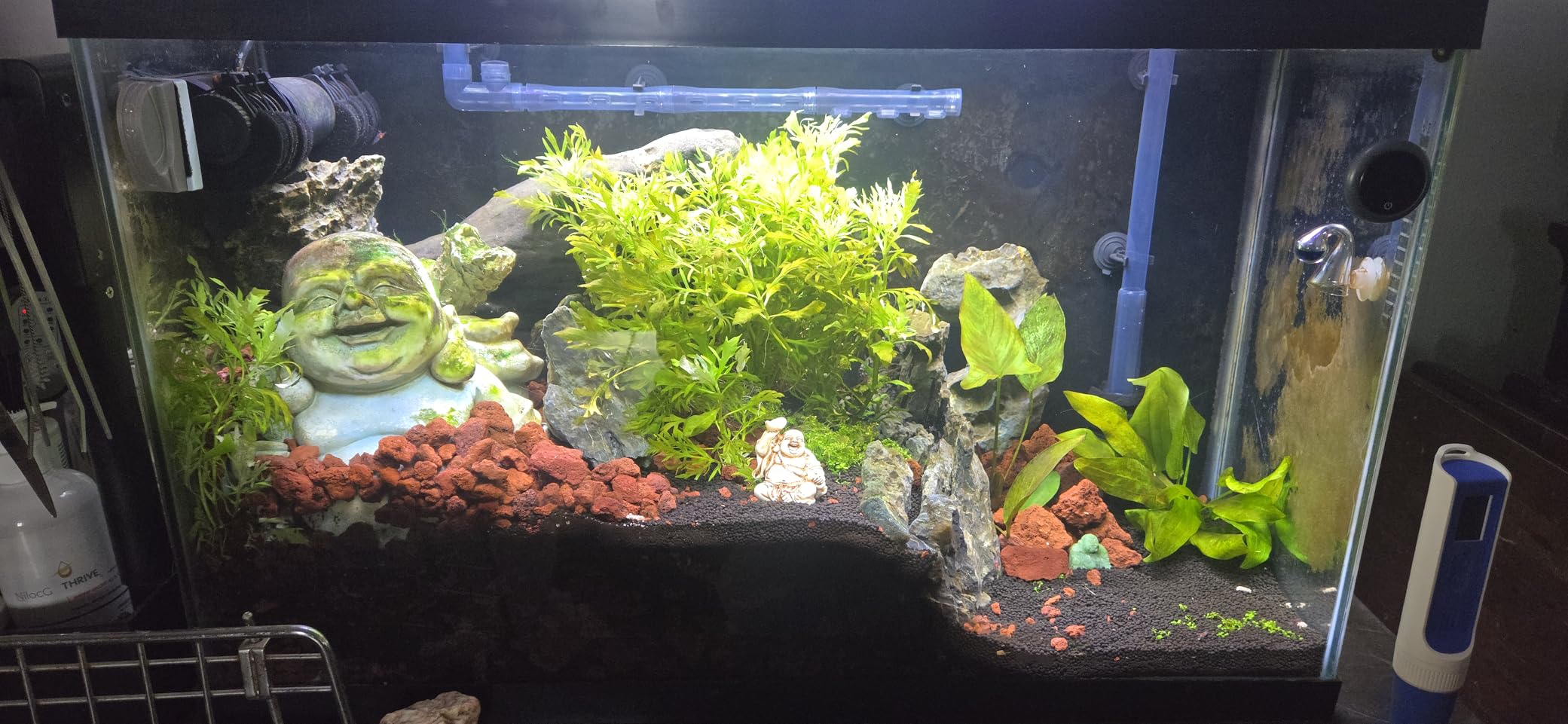 OASE BioMaster 2 Thermo 250 Canister Filter with Built-in Heater for Aquariums Up to 70 Gallons customer photo 1