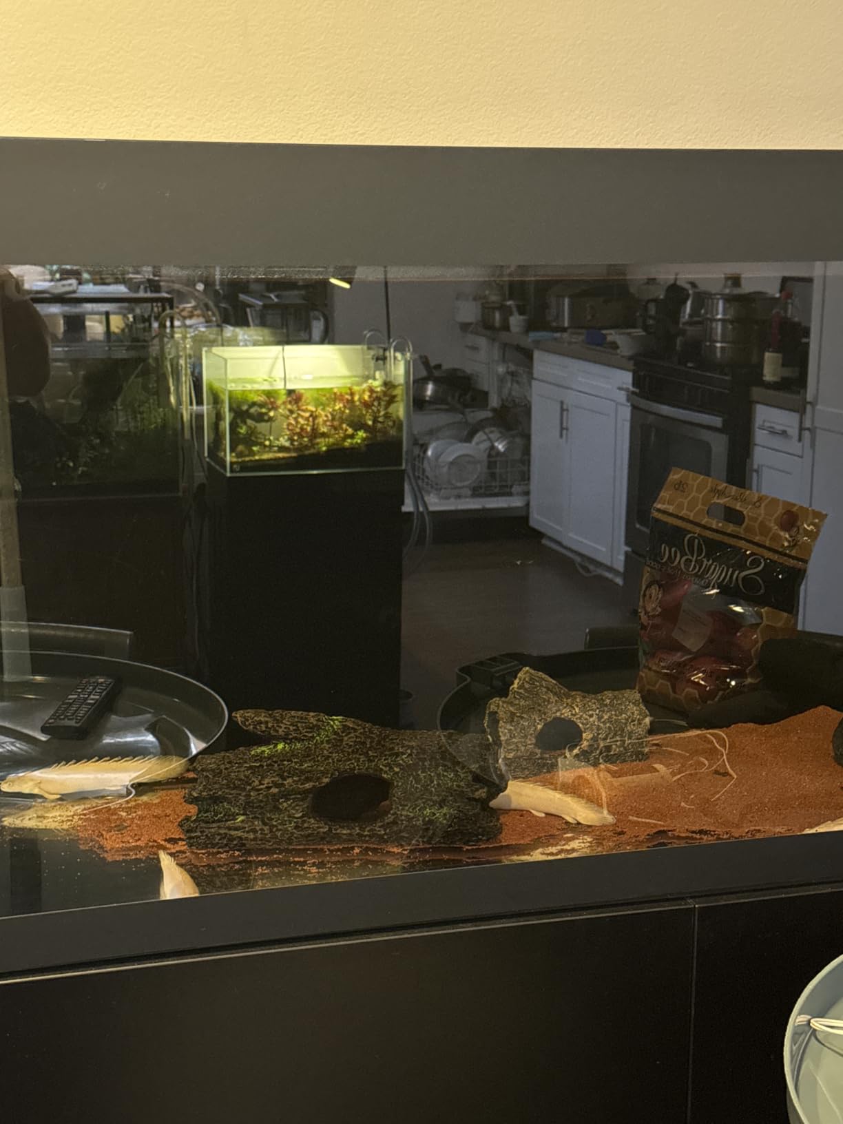 OASE BioMaster 2 Thermo 250 Canister Filter with Built-in Heater for Aquariums Up to 70 Gallons customer photo 2