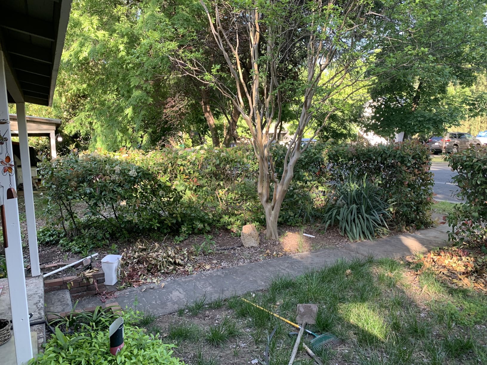 Alloyman 2-in-1 Telescopic Cordless Pole Hedge Trimmer 16-Inch and Pole Saw 8.6-Inch, with 2 Packs 4.0Ah Batteries & Charger, for Tree Trimming and Shrubs Pruning customer photo 1