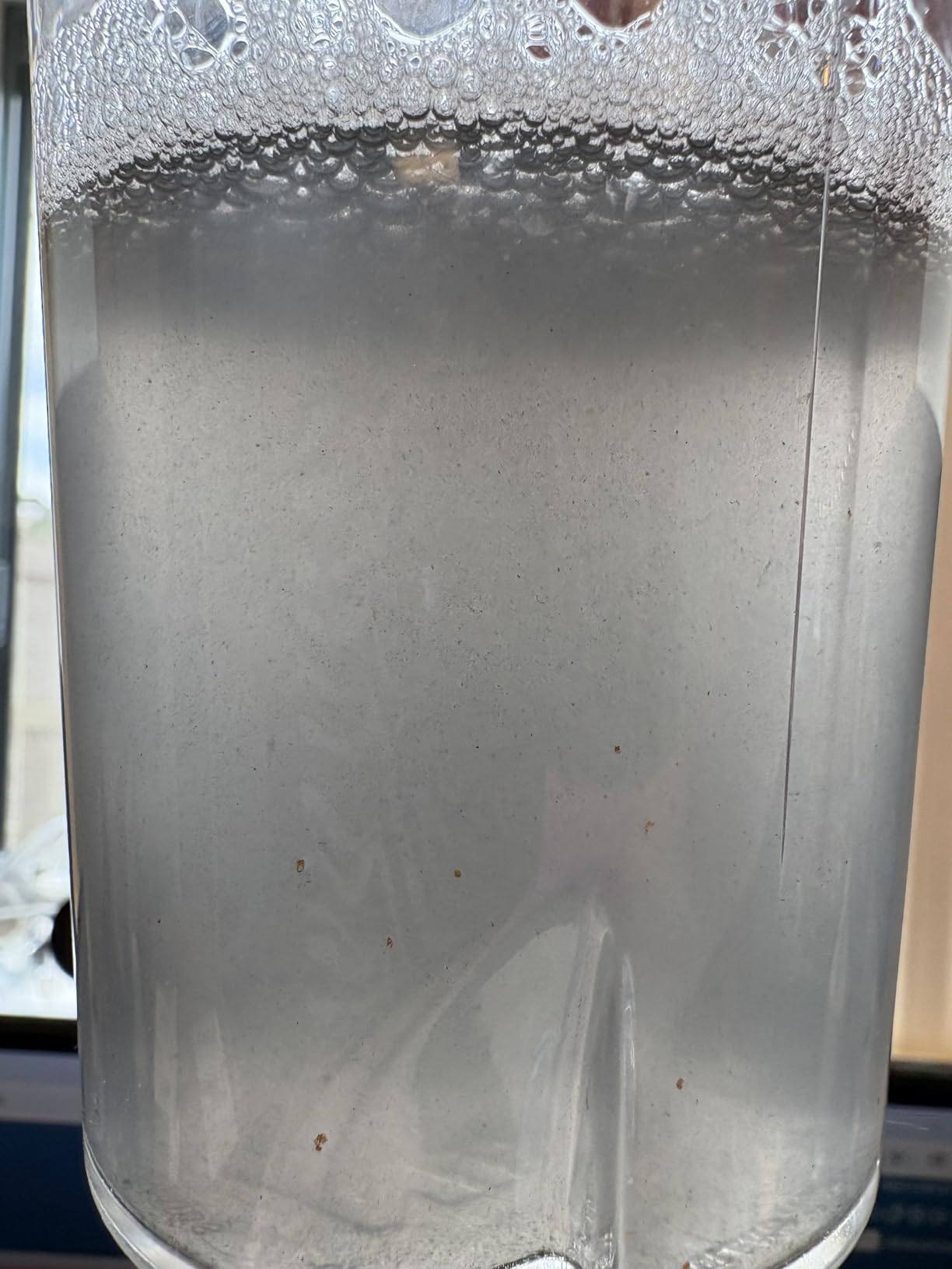 Ultrasonic Jewelry Cleaner, 48KHz Jewelry Ultrasonic Cleaner Machine for All Jewelry, Glasses, Rings, Retainers, Watch Strap, Dentures, 304 Stainless Steel 12oz Cleaning Pod - Black customer photo 1