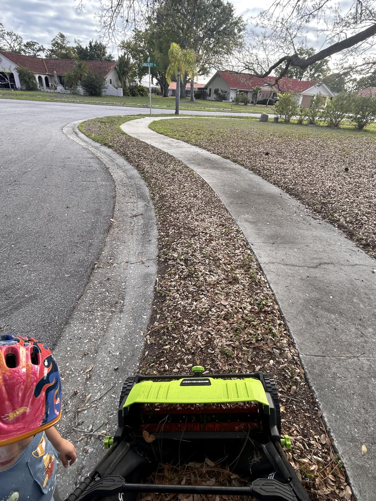 Pickup Pro 2 Leaf & Lawn Sweeper - Push Powered Garden Sweeper with Height Adjustment customer photo 1