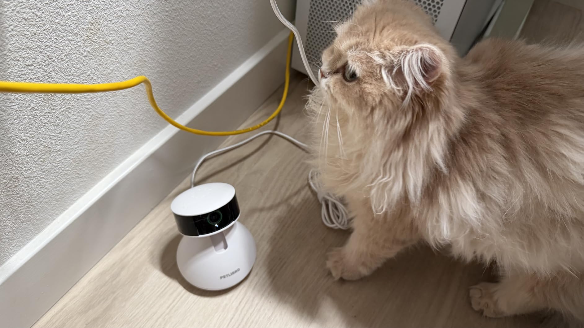 PETLIBRO AI Dog Camera Pet Camera Indoor with Phone App [Multi-Pet Recognition, Daily Activity Analysis & Smart Summaries] Cat Cam 360° View, 1080P Dog Cam Night Vision, 2-Way Audio Home Camera WiFi customer photo 1