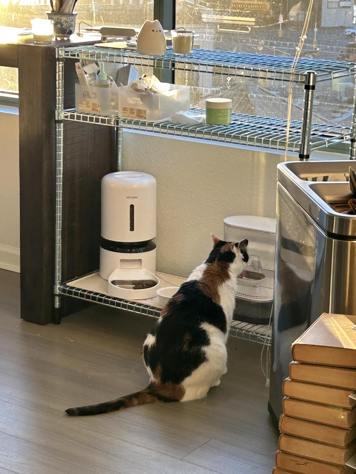 Wireless Cat Water Fountain No Filters, Wastewater Separation, FEELNEEDY Stainless Steel Bowl, 3.5L Pet Water Fountain for Cats & Dogs Dispenser, White customer photo 1