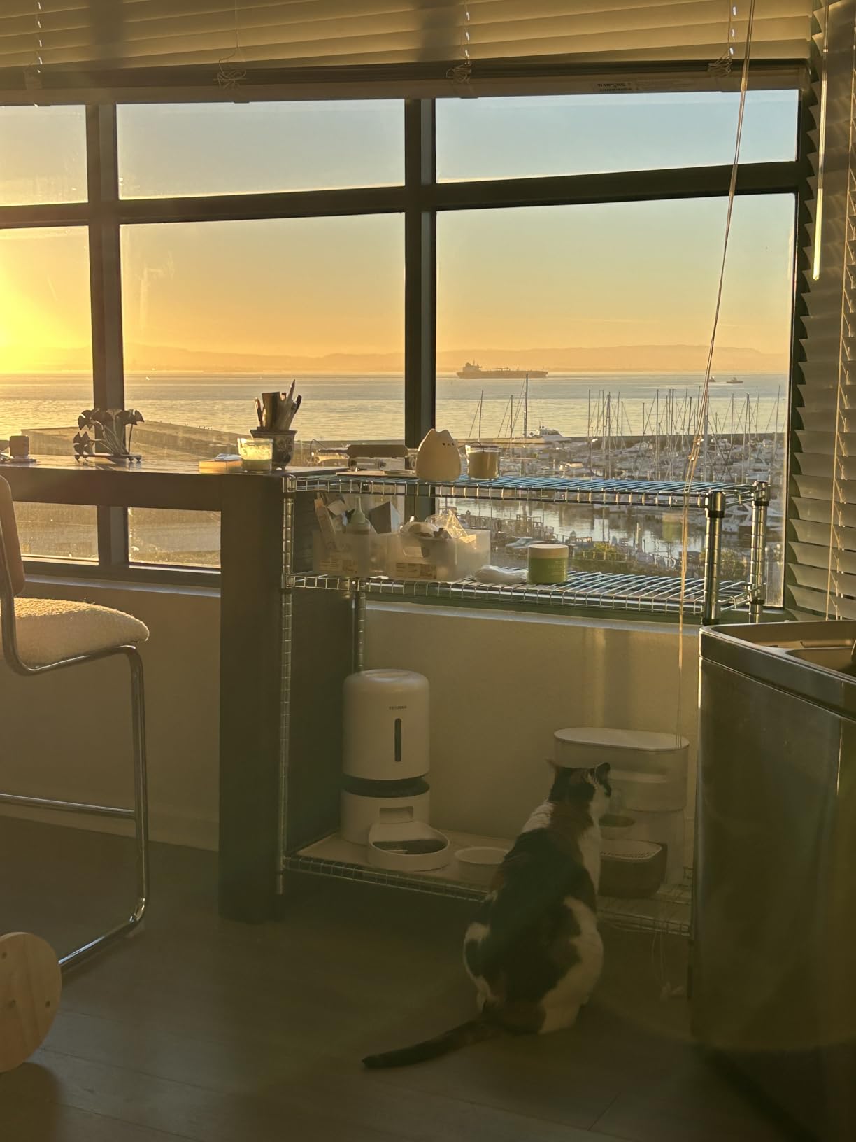 Wireless Cat Water Fountain No Filters, Wastewater Separation, FEELNEEDY Stainless Steel Bowl, 3.5L Pet Water Fountain for Cats & Dogs Dispenser, White customer photo 2