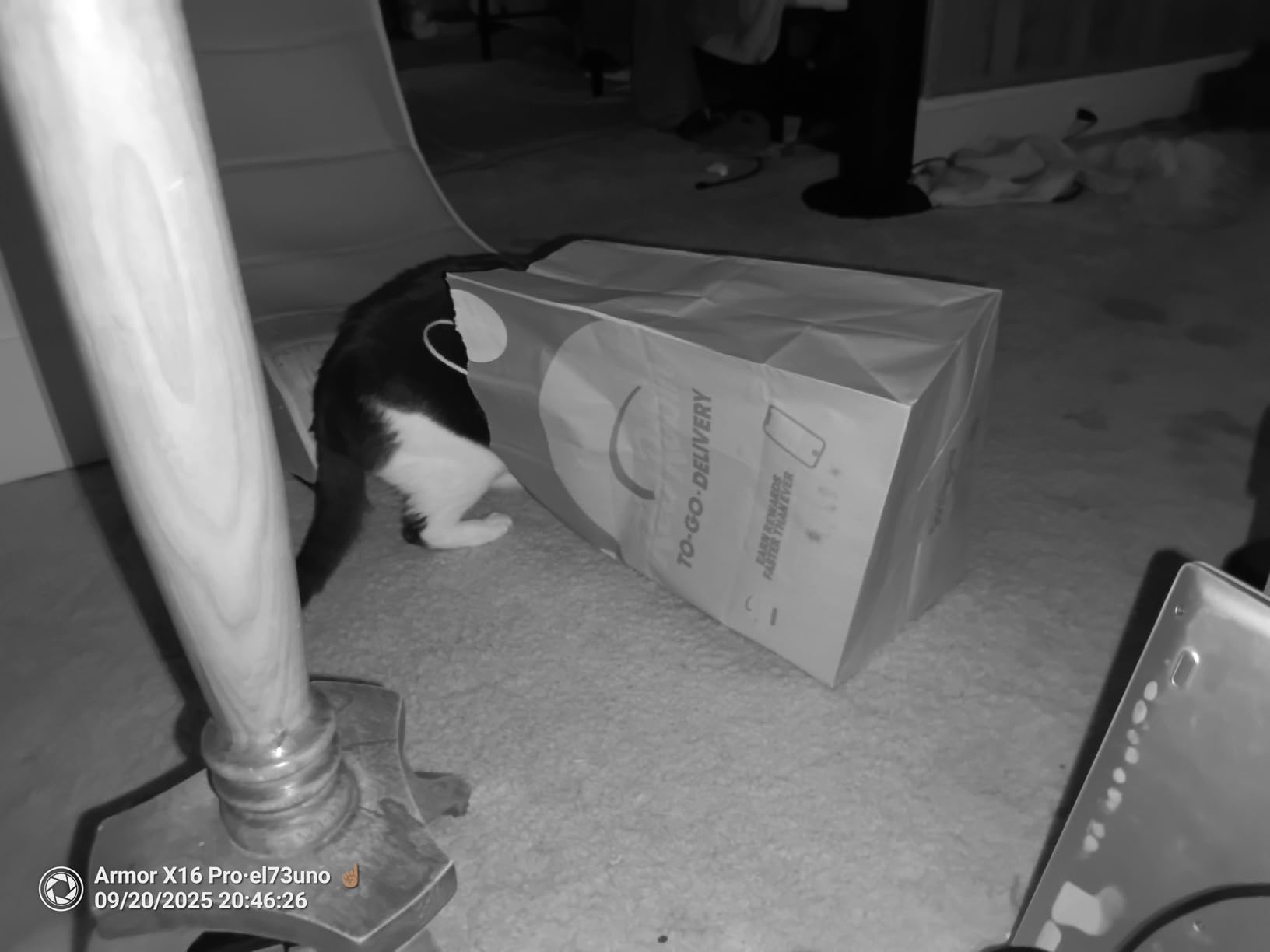 Ulefone Armor X16 Pro 5G Rugged Smartphone, 16GB+256GB MTK Dimensity 6300 Android 15, 64MP+25MP Main Camera, 10360mAh, 6.56