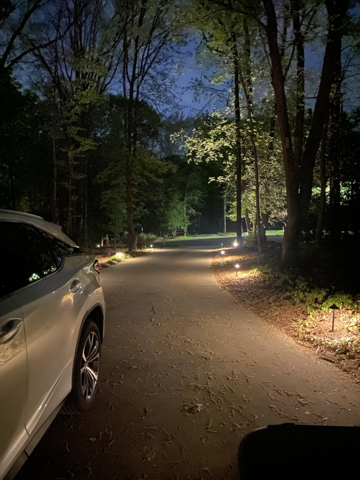 PARTPHONER Low Voltage Landscape Lighting 12-Pack, Aluminum 12V Pathway Lights with G4 Bulbs, Waterproof Oil Rubbed Bronze Color Wired Path Lights with Connectors for Walkway Yard Garden customer photo 1