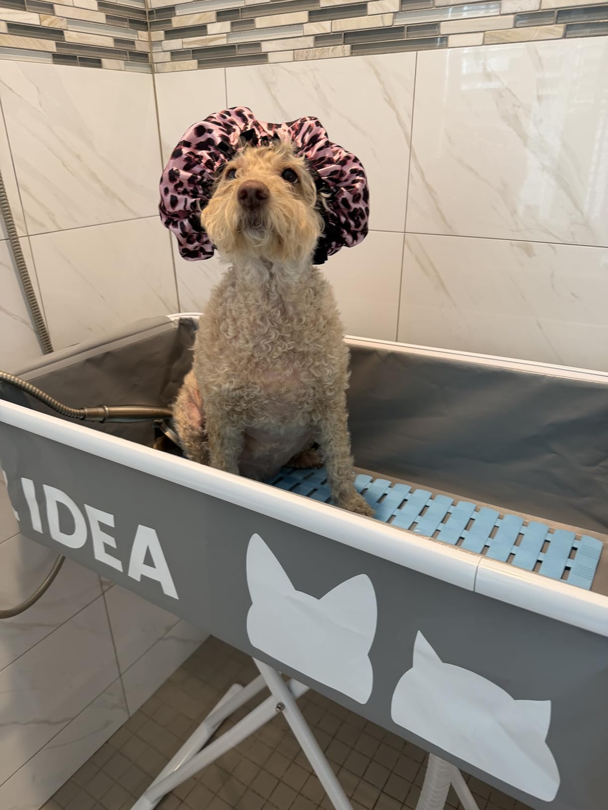 PAWZIDEA 2-in-1 Portable Dog Bathtub & Grooming Table, 33