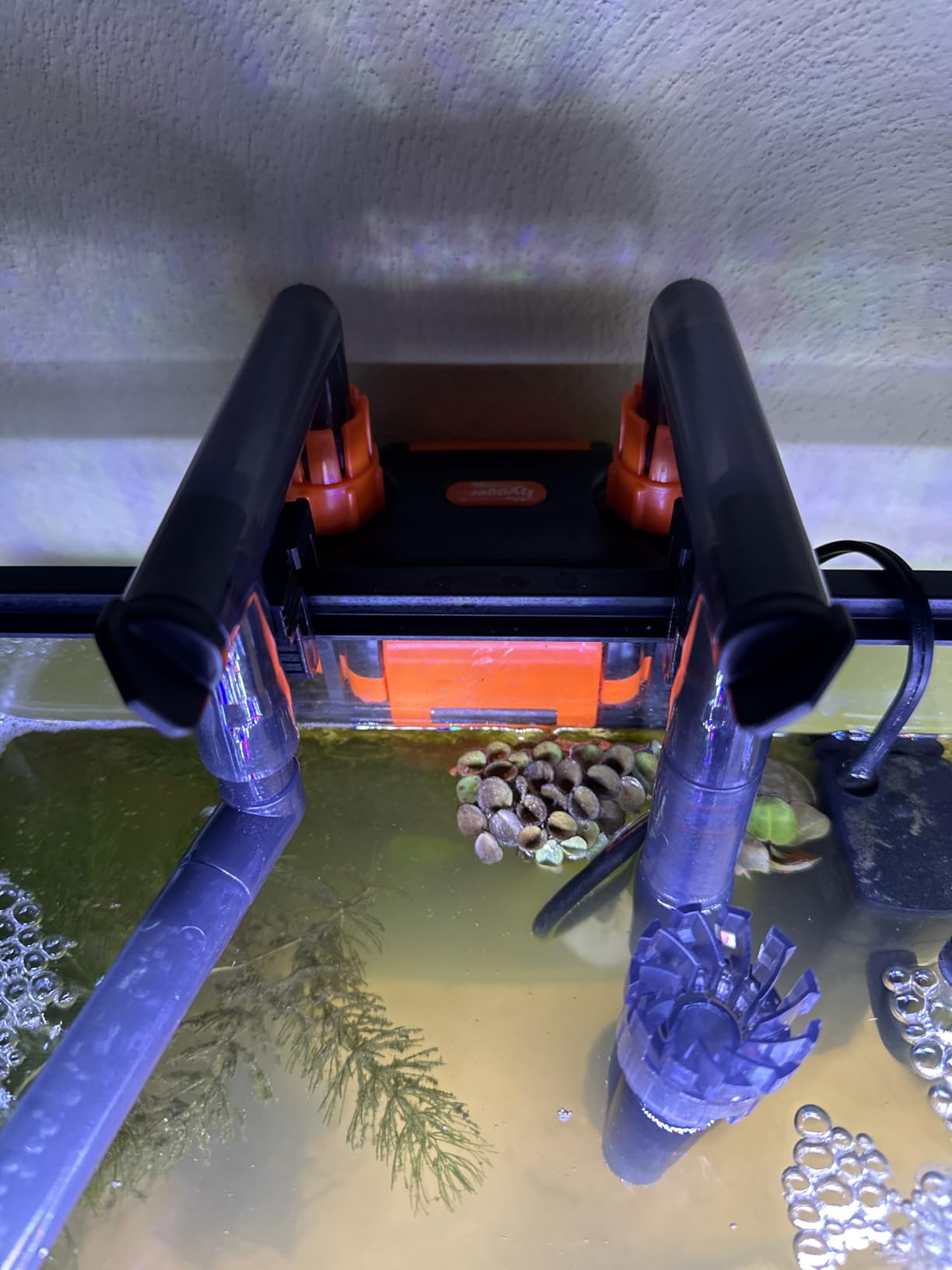 hygger External Hang-On-Back Canister Aquarium Filter, Quiet Fish Tank Filter with 3-Stage Filtration, Anti-Dry Burn Motor, Adjustable Flow, Oil Skimmer, Duckbill Nozzle, Shower Spray Bar (6W, 10-20 gal) customer photo 2