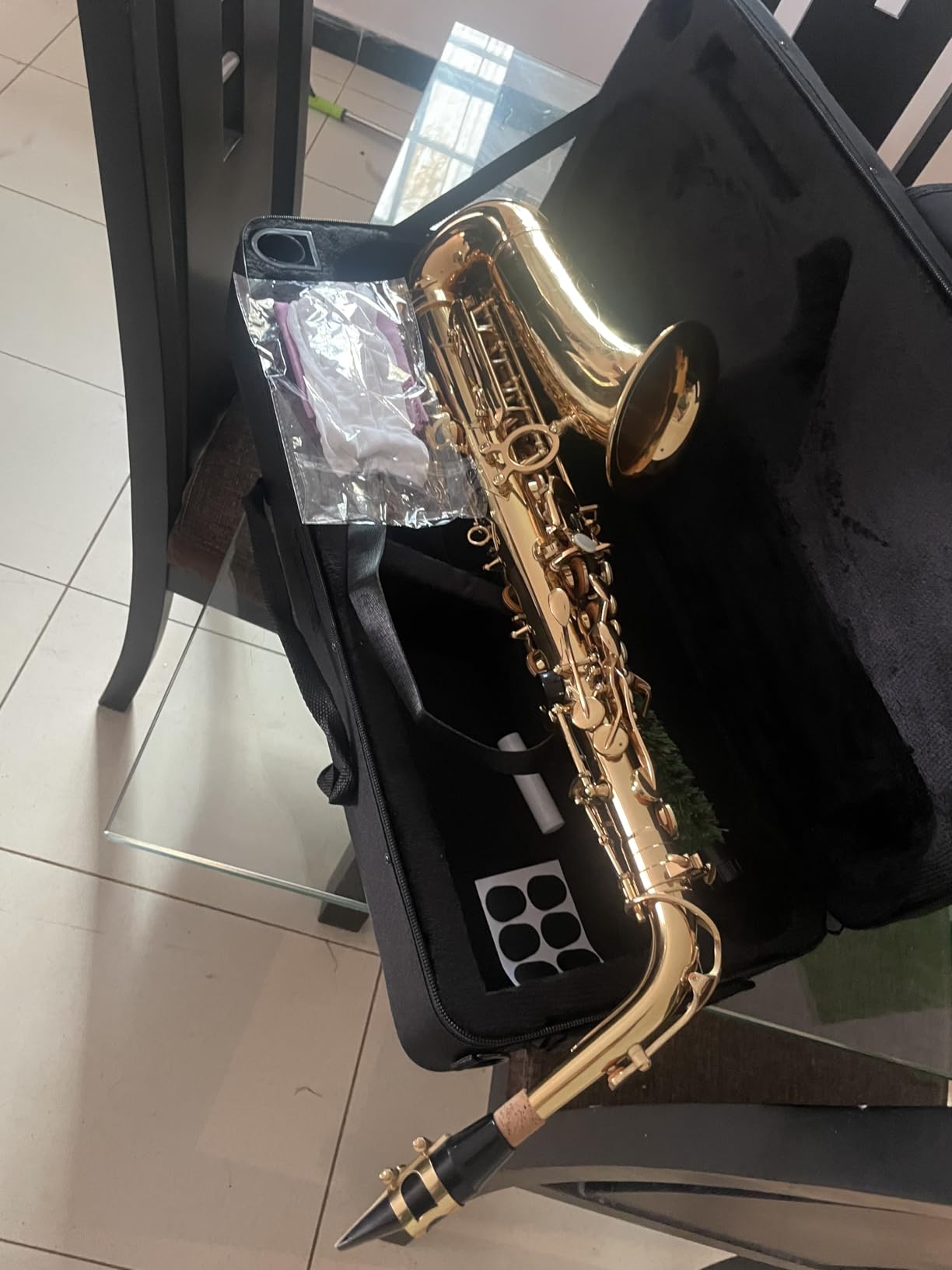 Tenor Saxophone Complete Kit w/Case, Mouthpiece, 10pc Reeds, Professional B Flat Tenor Sax, Gold Brass Lacquer, Rich Warm Tone for Jazz & Classical, Ideal for Students to Pros customer photo 1