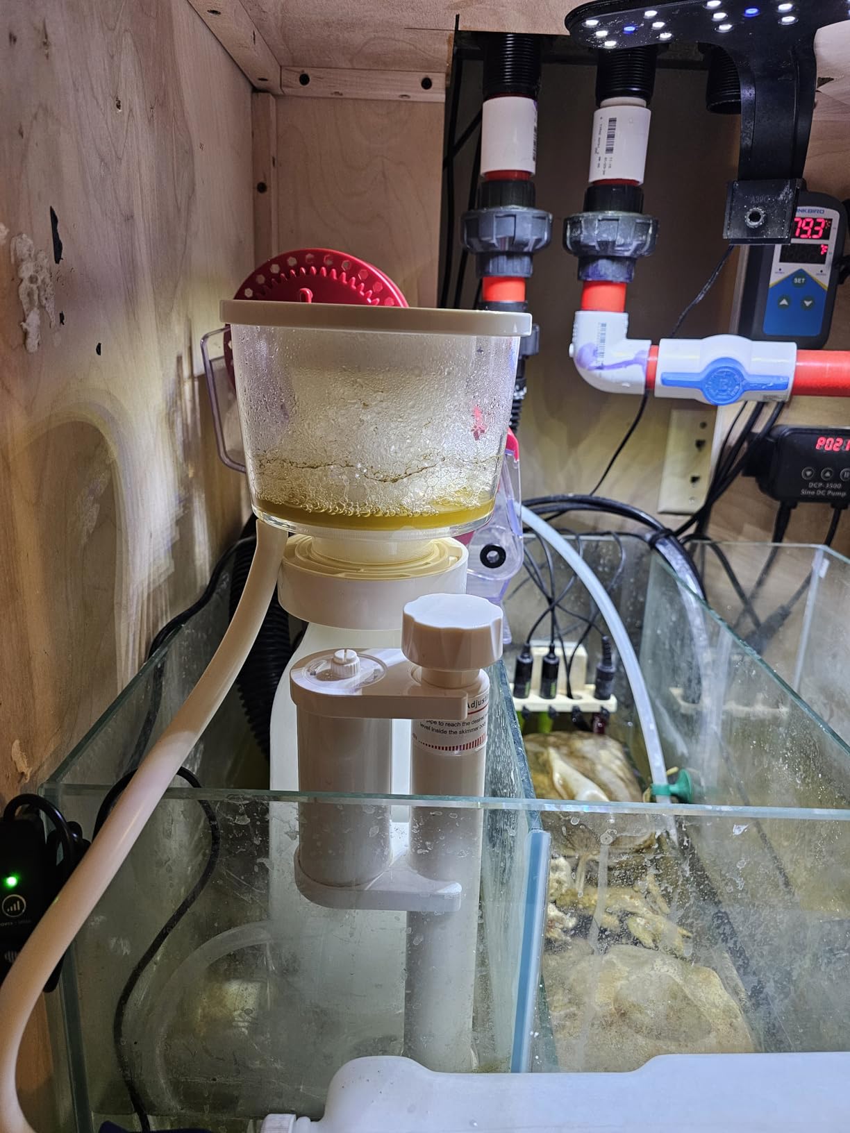 Protein Skimmer for Saltwater Aquariums, for Fish Tanks up to 110 Gallons, DC Needle-Wheel Pump, In Sump Use customer photo 1