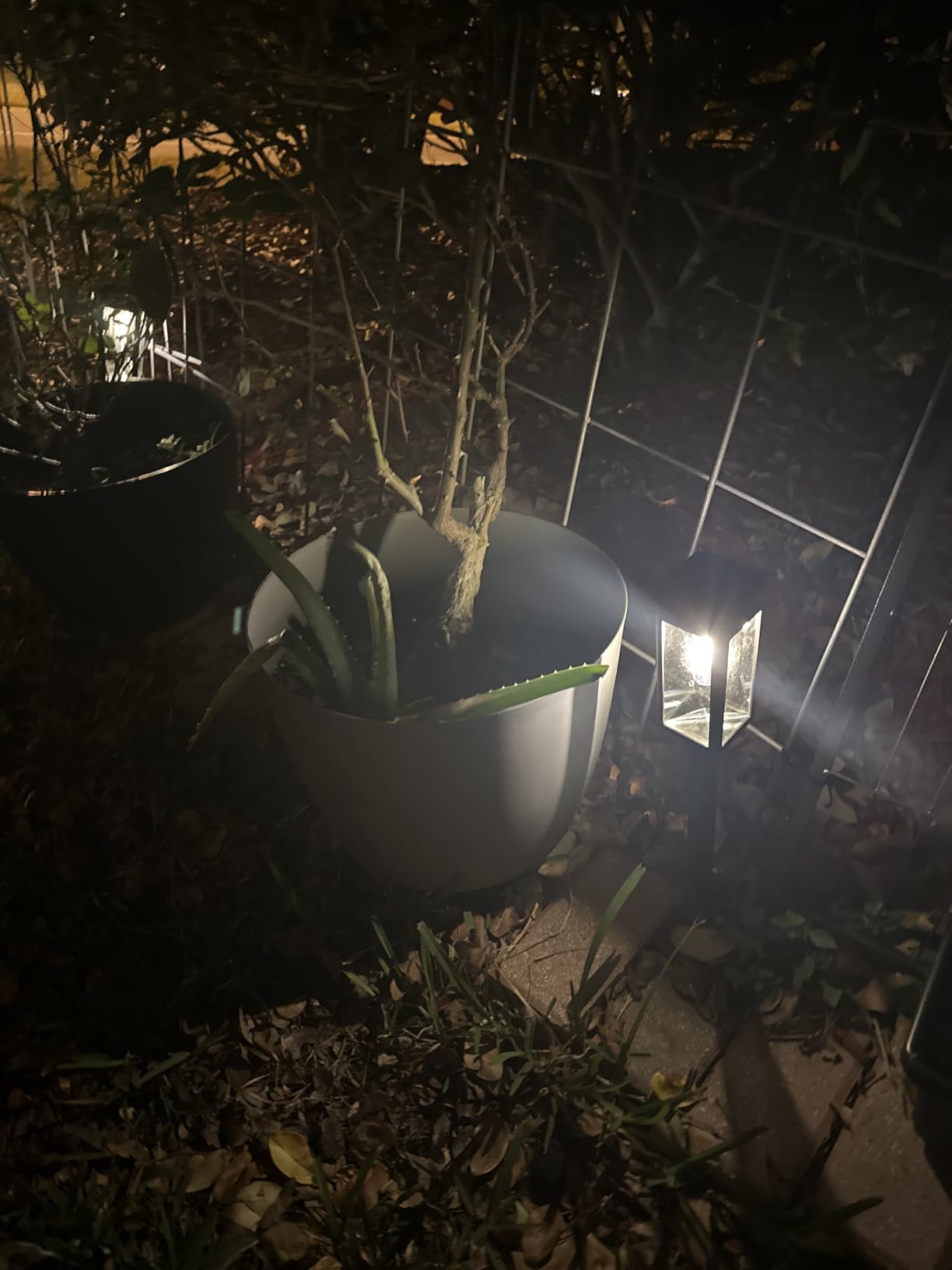 Philips 8 Packs Solar Pathway Lights Outdoor, Glass Metal Led Garden Landscape Lightings, 3000K Warm White, Waterproof for Decor Yard, Walkway, Patio, Driveway, Lawn customer photo 1