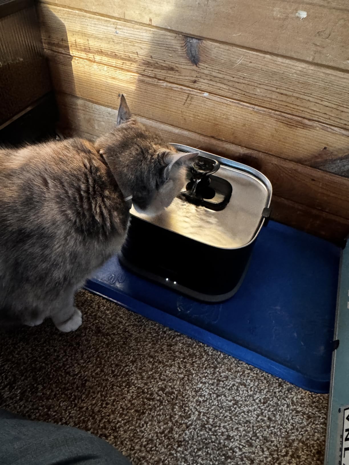 PETLIBRO Upgrade Cat Water Fountain Stainless Steel Tray, Dockstream 2 Cat Fountain Indoor, 3L/101oz Auto Cat Fountains for Drinking, App Monitoring Pet Water Fountain Dog, 5G WiFi Cat Water Dispenser customer photo 1