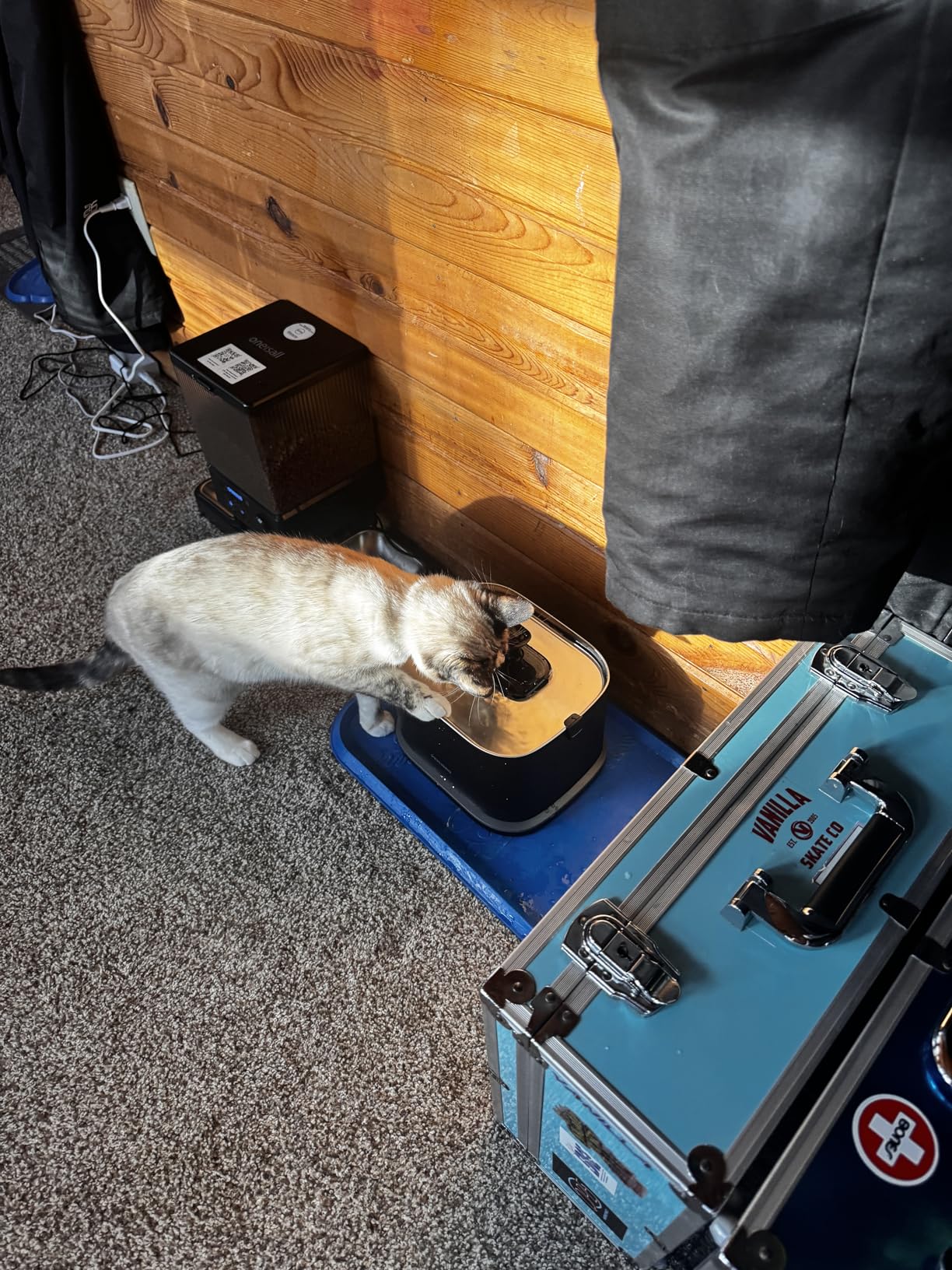 PETLIBRO Upgrade Cat Water Fountain Stainless Steel Tray, Dockstream 2 Cat Fountain Indoor, 3L/101oz Auto Cat Fountains for Drinking, App Monitoring Pet Water Fountain Dog, 5G WiFi Cat Water Dispenser customer photo 2