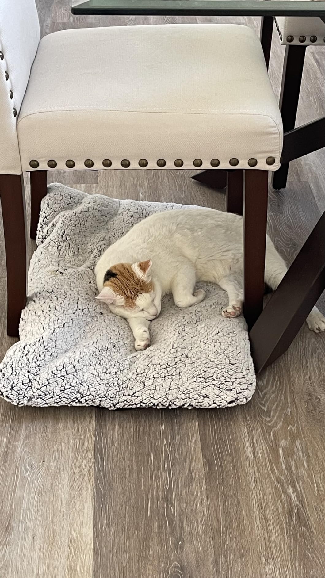 Self Warming Pet Bed for Cats & Dogs, Heated Pet Mat, 2.0 Upgraded Thermal Foil Heating Pad, Plush Self-Heating Bed for Crate, Floor, with Removable Washable Cover, Non-Slip, Gray, 18x27 customer photo 1