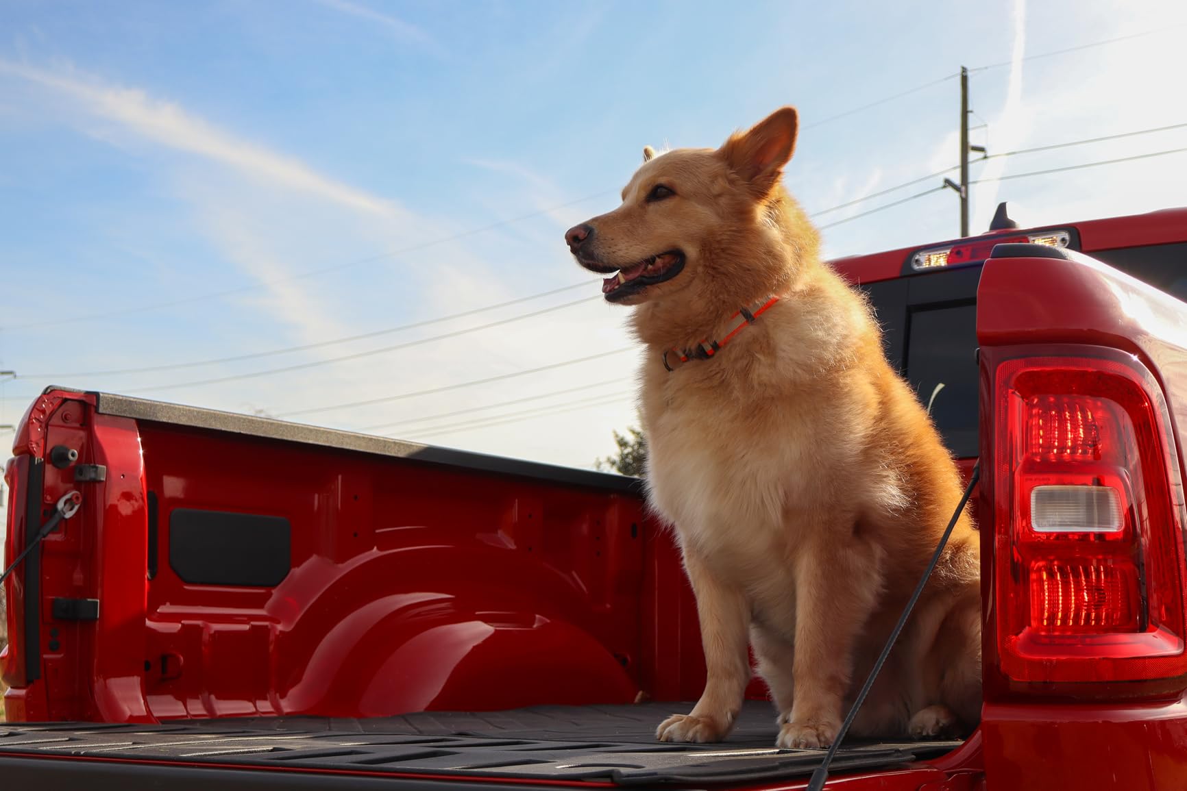 Canon EOS R100 Mirrorless Camera with RF-S 18-45mm f/4.5-6.3 is STM Lens | 24.1MP APS-C CMOS Sensor, Dual Pixel AF, Full HD Video | Compact RF Mount Camera for Beginners with Bag and 64GB Card customer photo 1