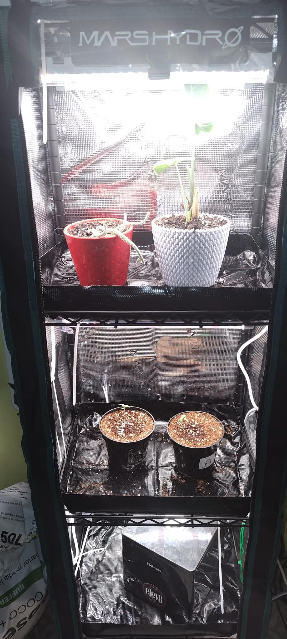 MARS HYDRO 2025 Plant Stand with Grow Lights, 4-Tier Plant Shelf with 6 Full Spectrum LED Lamps (150W, 3ft) & Grow Tent | for Vegetables, Seedlings, Plant Growth | 5000K, 37×14×59'' customer photo 2