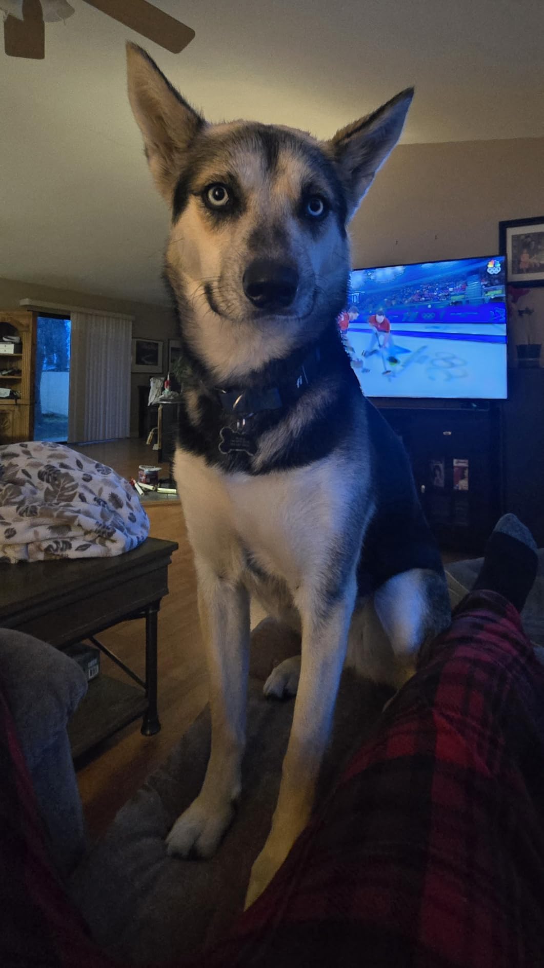 Fi New Series 3+ Smart Dog Tracker Collar [6 Month Membership Included] GPS Tracker for Dogs with Health & Behavior Monitoring, Escape Alerts, Waterproof, LED, Apple Watch Compatible (Pink, Medium) customer photo 1