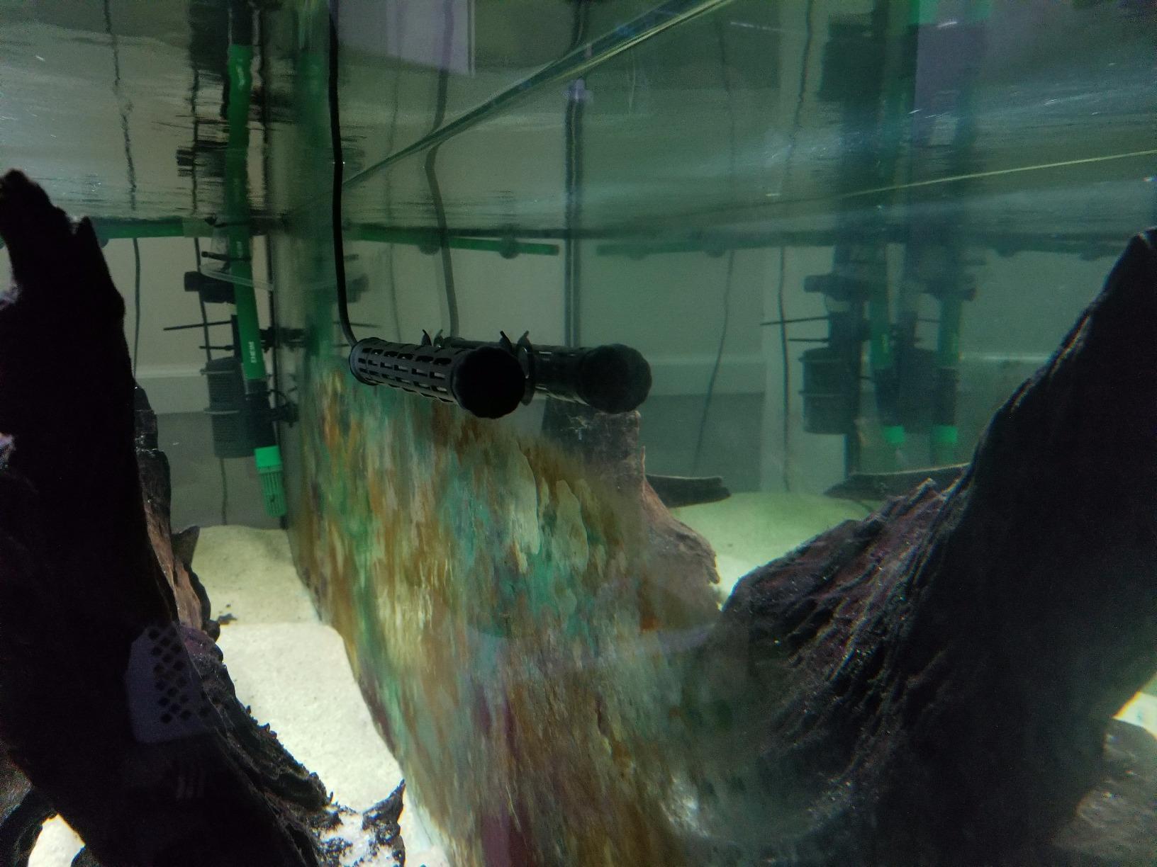 Finnex Titanium Aquarium Heater, 300 Watt THD Series Standard, Heater Guard, Made in Taiwan customer photo 1