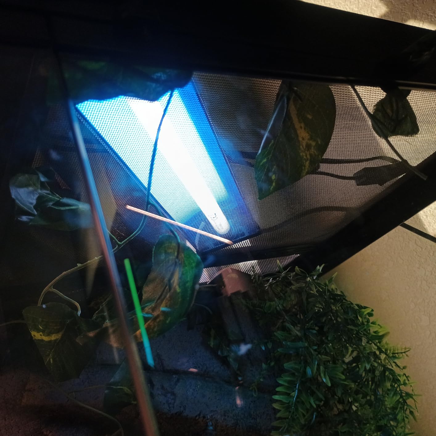 QZQ T5 UVB Reptile Light Fixture Combo Kit 24W, 10.0 UVB Light for Reptiles, Terrarium Hood Comes with Desert Reptile Lamp for Bearded Dragon, Gecko, Tortoise, Lizard customer photo 2