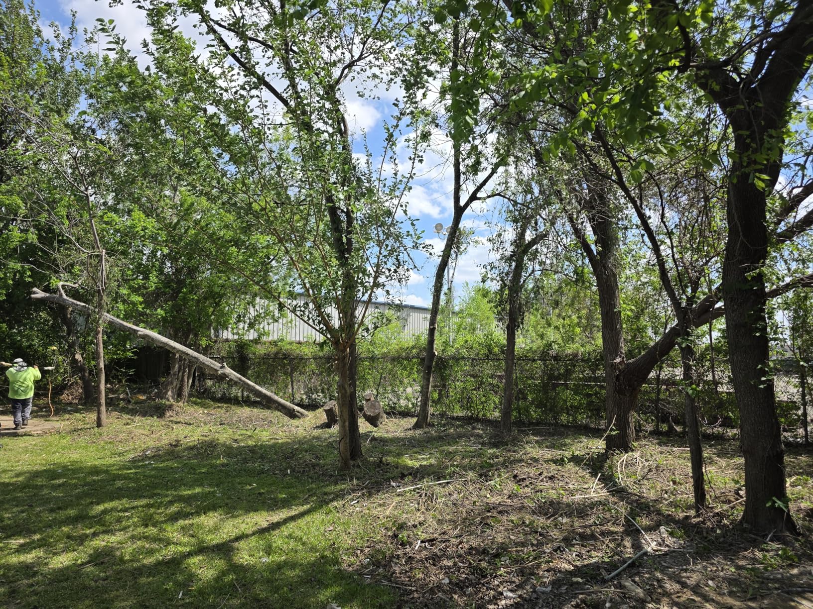 Mini Chainsaw Cordless, 8 Inch & 6 Inch Electric Chainsaw Battery Powered, 1000W Brushless Handheld Power Chain Saw with 2 Batteries customer photo 2