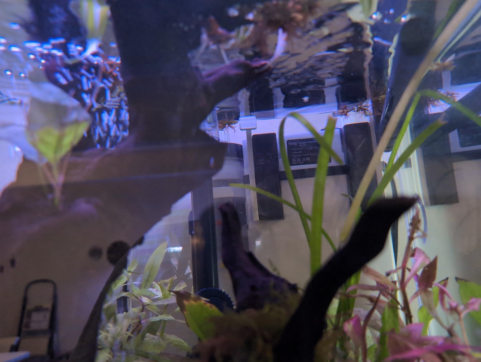 hygger Quiet Hang On Back Aquarium Filter 5-30 Gallon Small Fish Tank Canister Filter with Surface Skimmer Spray Bar 3 Floss Pads Bio Filter Media Adjustable Flow, Easy Water Change 132 GPH customer photo 1