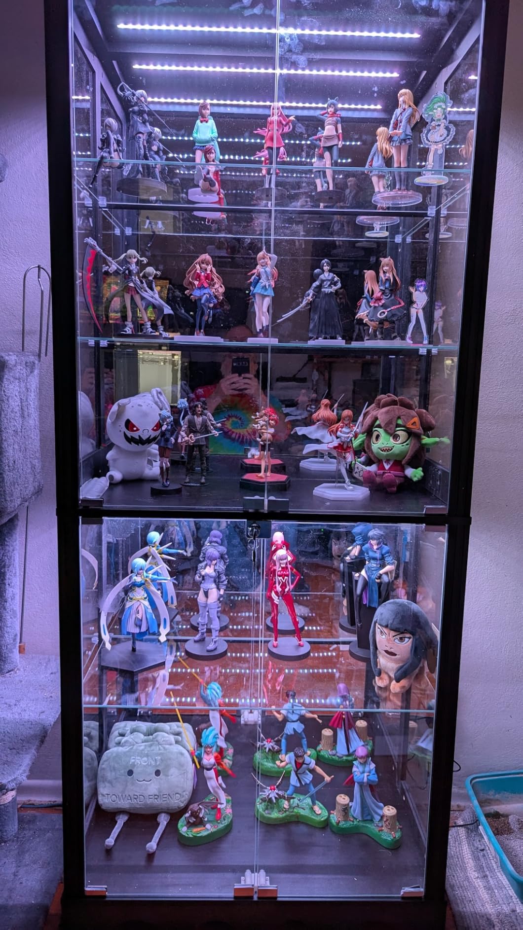 Display Cabinet with Glass Doors, 71