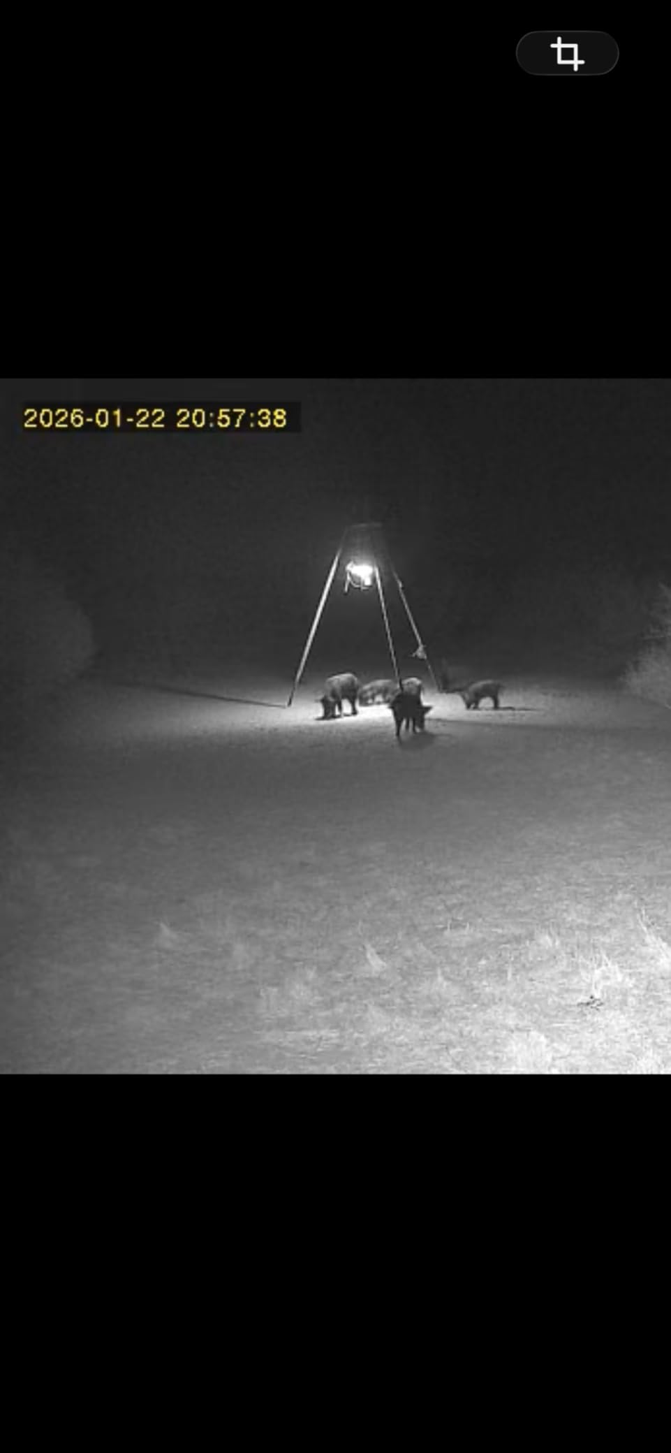 Cellular Trail Camera with 360° Live Streaming, Solar Powered, Built-in 4G SIM Card, Remote Access, Motion Activated, 2K Night Vision, No WiFi Needed's Cellular Security Camera customer photo 1