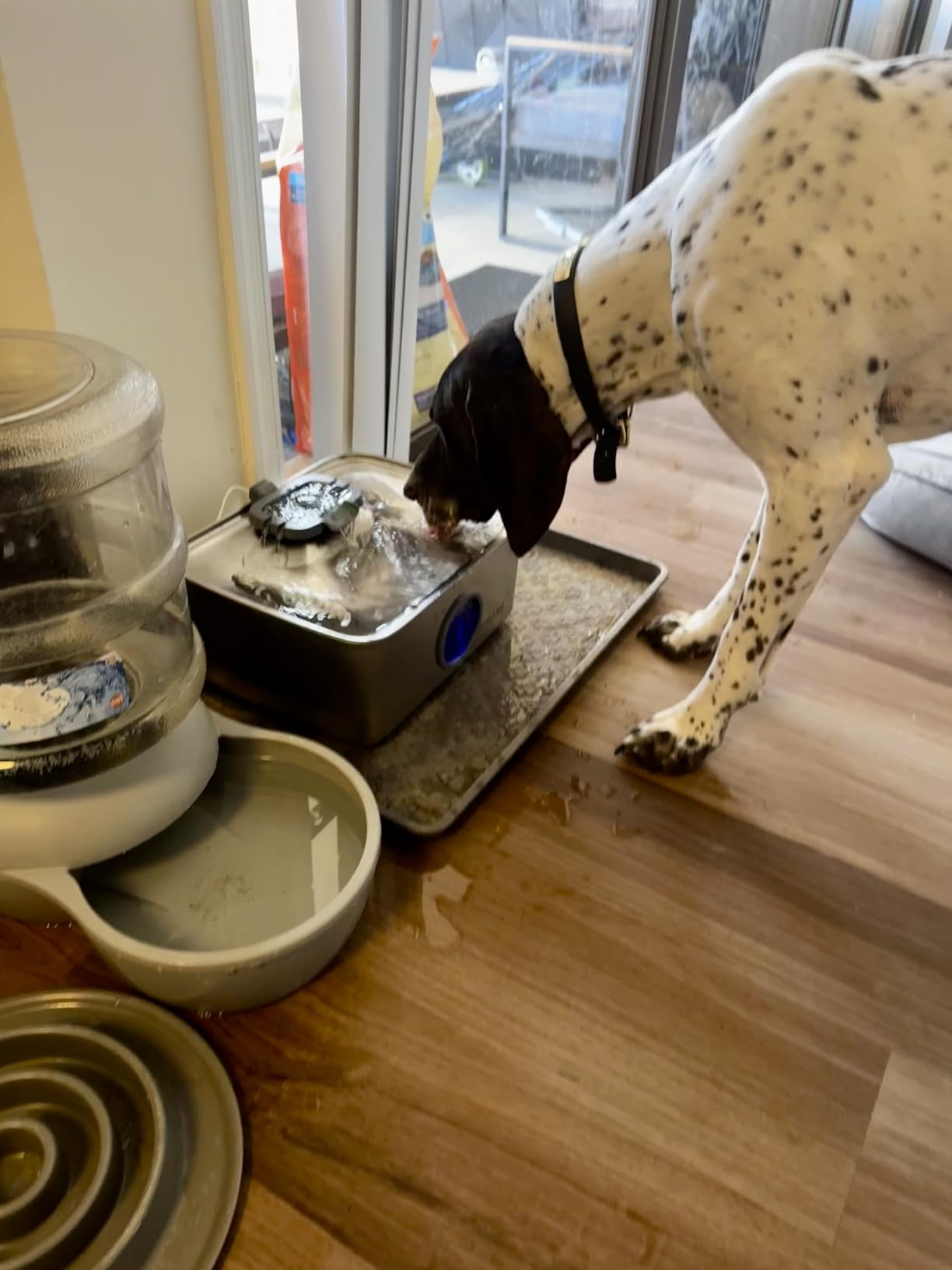 SIBAYS 4Gal/15L Dog Water Fountain, Stainless Steel Large Capacity Pet Water Fountain with Water Level LED Light customer photo 1