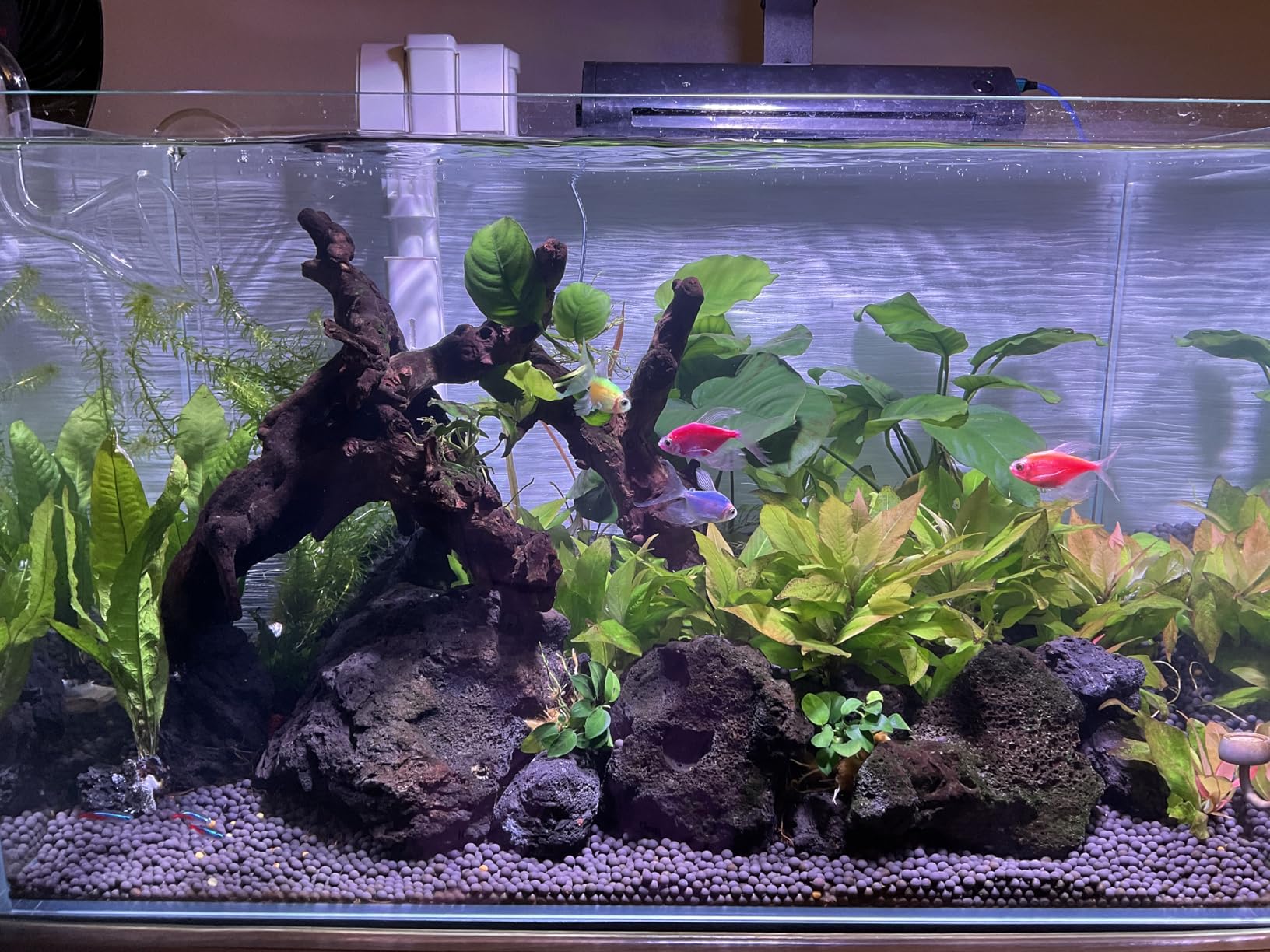 Hang On Back Aquarium Filter Up 20 Gallons Fish Tanks, 3-Stage Multi-Stage Filtration with Surface Skimmer, Ultra Quiet HOB Power Waterfall Filter for Freshwater customer photo 1