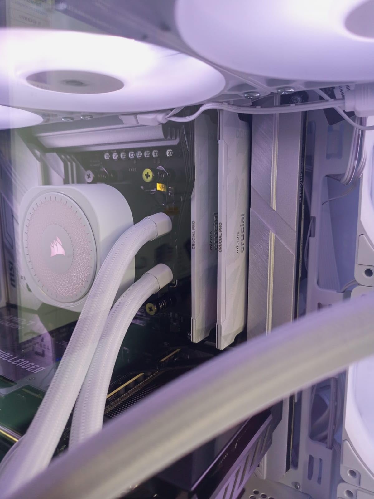 Crucial Pro DDR5 RAM 32GB Kit (2x16GB), 6400MHz CL32, Overclocking Desktop Gaming Memory, Intel XMP 3.0 & AMD Expo Compatible, White customer photo 2