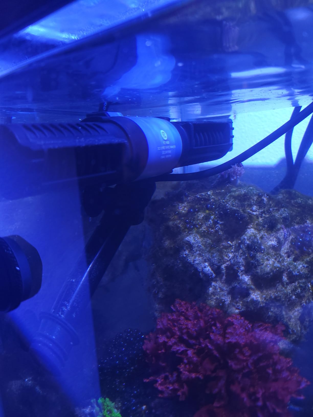 Wave Maker for Aquarium, 24V DC Gyre Wavemaker with LCD Display Controller, Adjustable Cross Flow, Quiet Powerhead with Magnetic Mount for Saltwater & Freshwater Tanks (M) customer photo 1