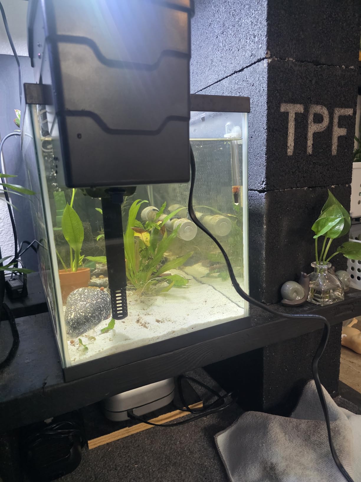 Sicce Aqua Filtra 20 Hang On Back Aquarium Fish Tank Power Filter Up to 20 Gallon Aquariums - Quiet 3-Stage HOB for Freshwater & Saltwater customer photo 1