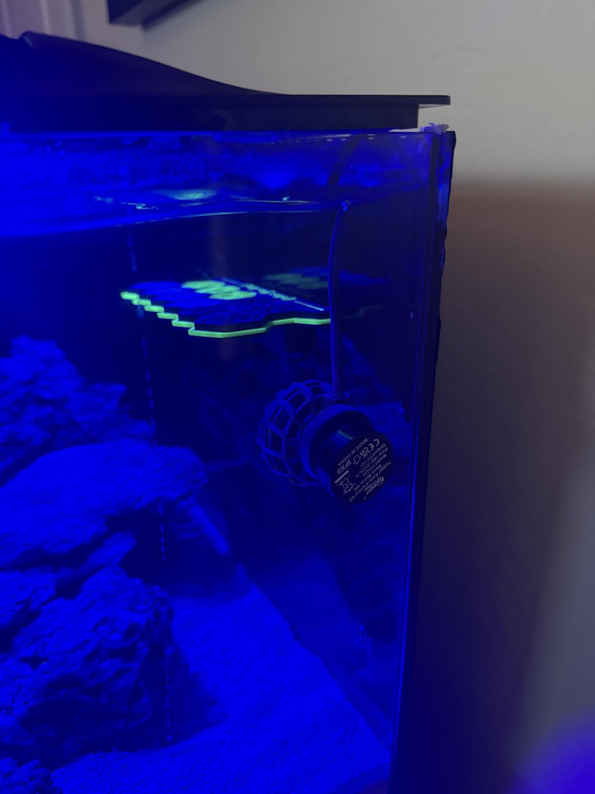 Magnetic Coral Frag Rack for Reef Tank, Saltwater Aquarium Frag Holder with 11 Slots & 13 Frag Plugs, Strong Magnet Glass Mount (Up to ~2cm) customer photo 1